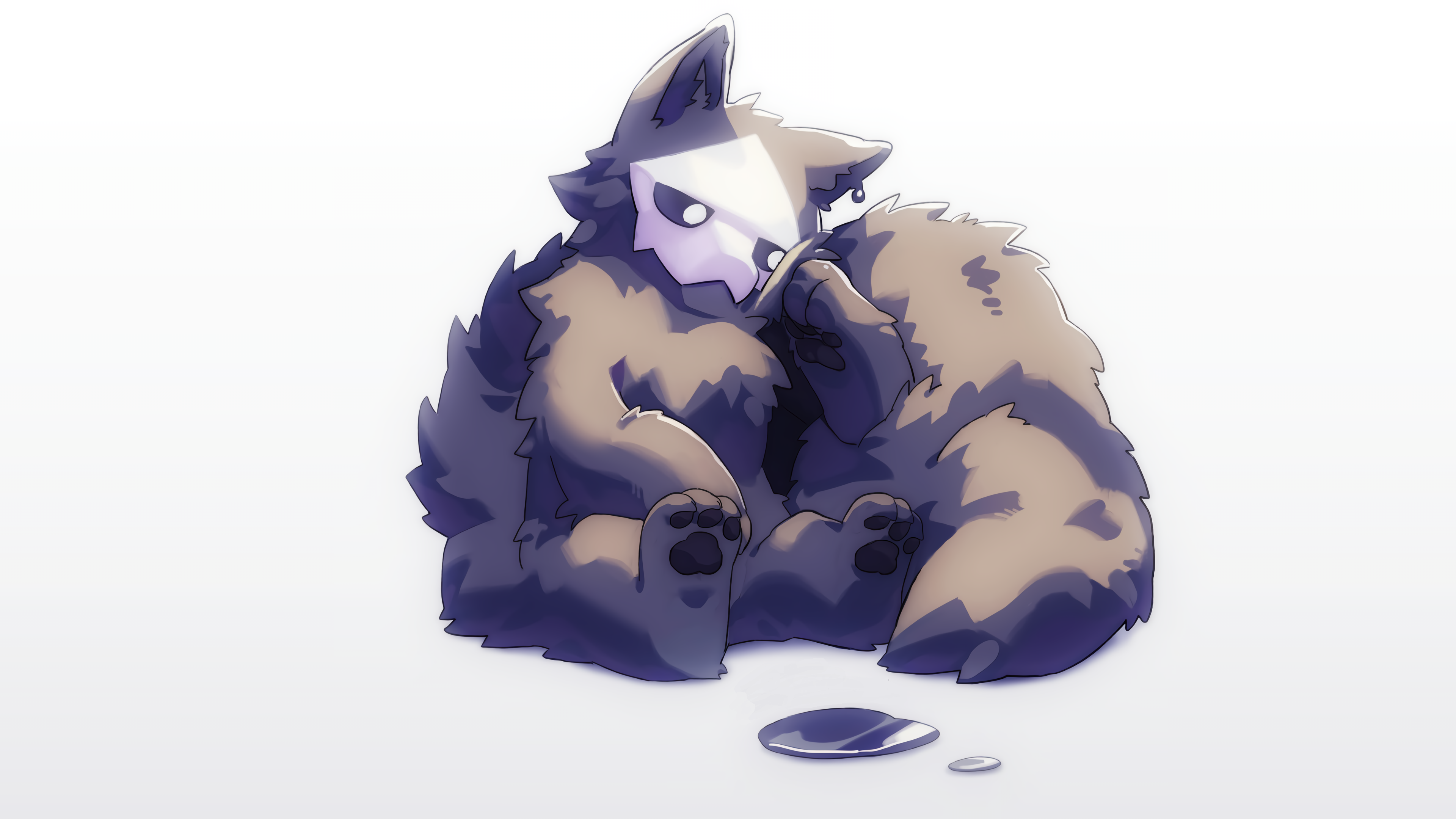 Download Animal Furry 4k Ultra HD Wallpaper