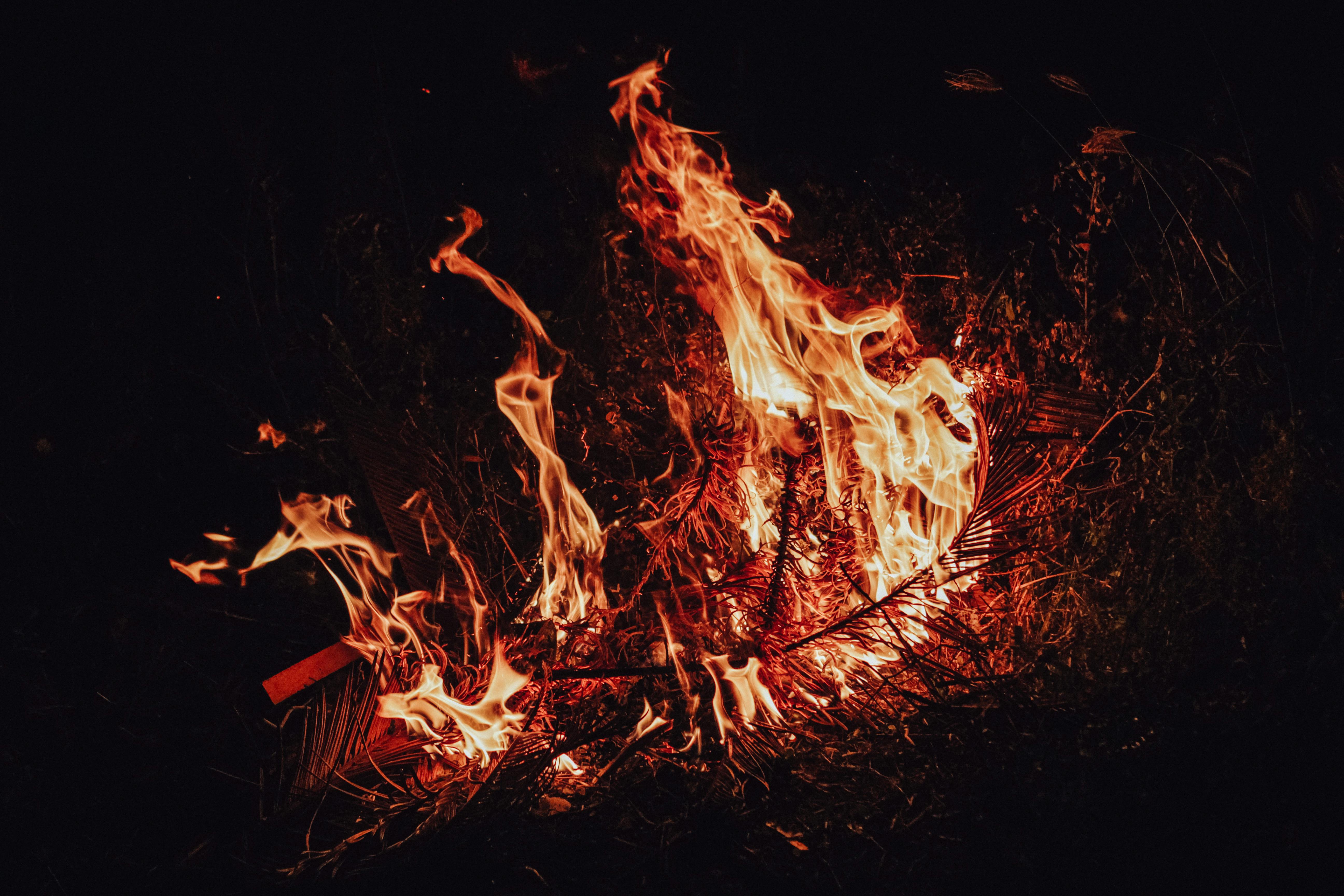 Red and Orange Fire · Free