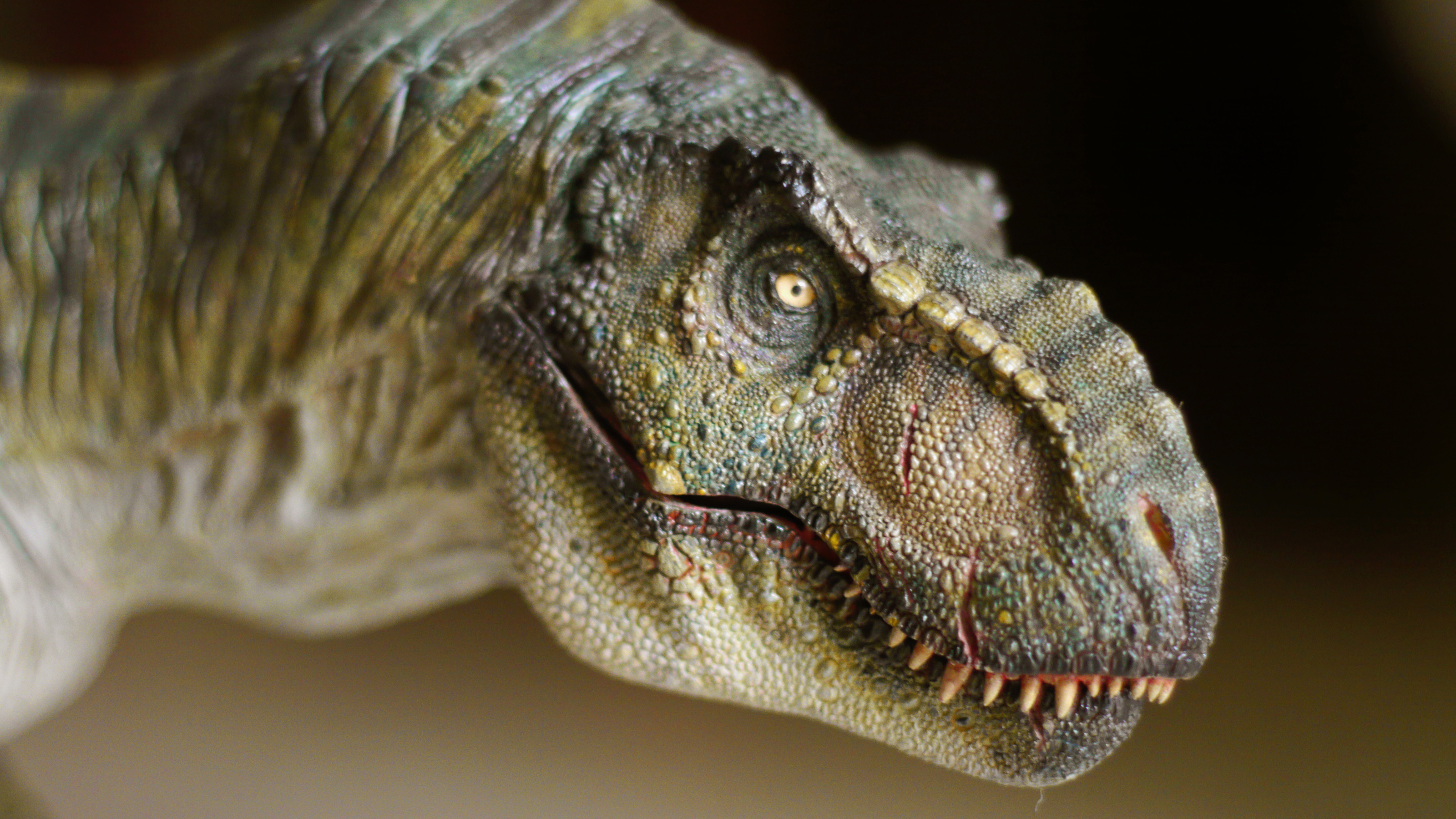 T Rex Dinosaur HD 4K Wallpaper