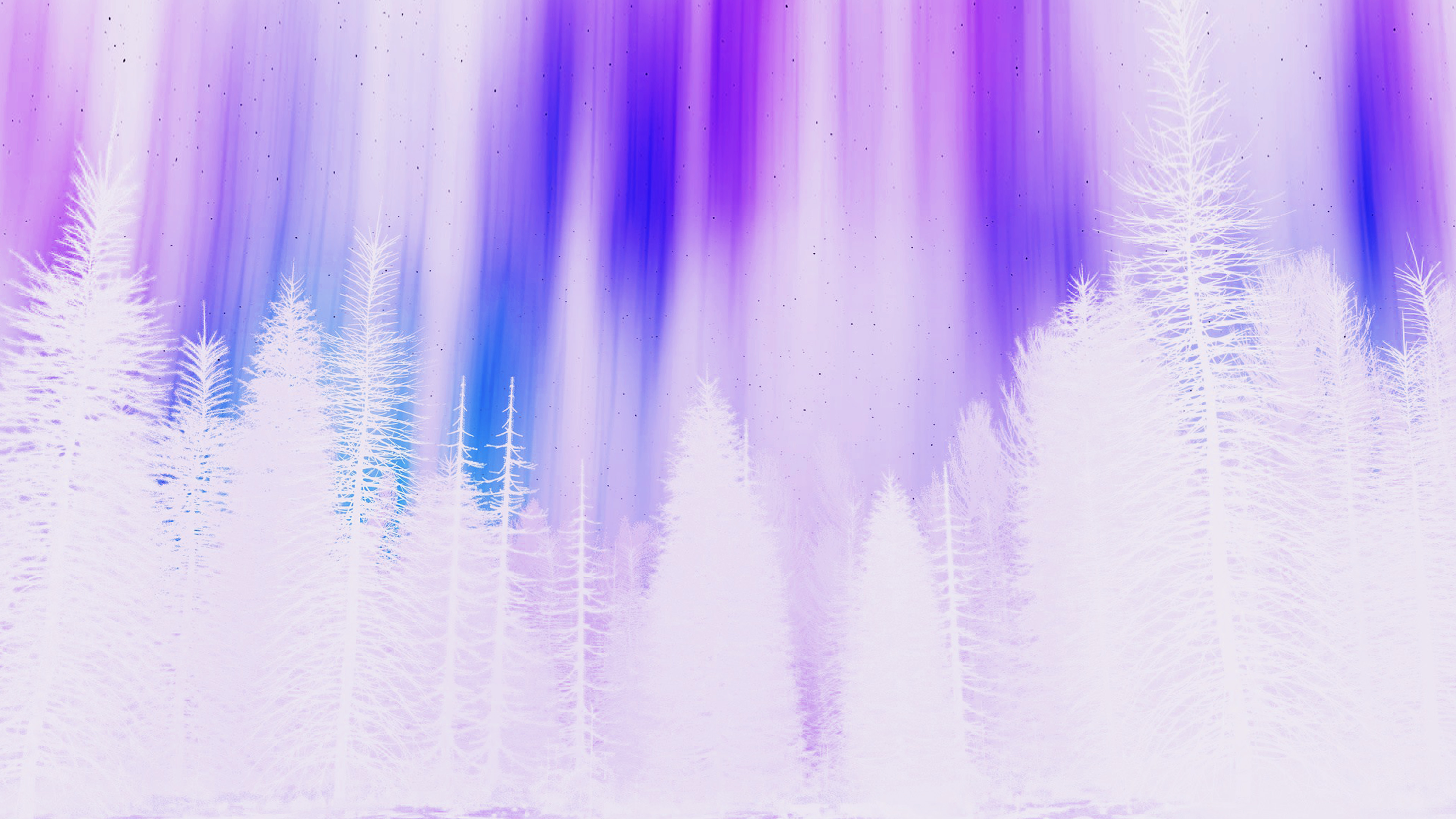 Aurora Night Sky White Purple