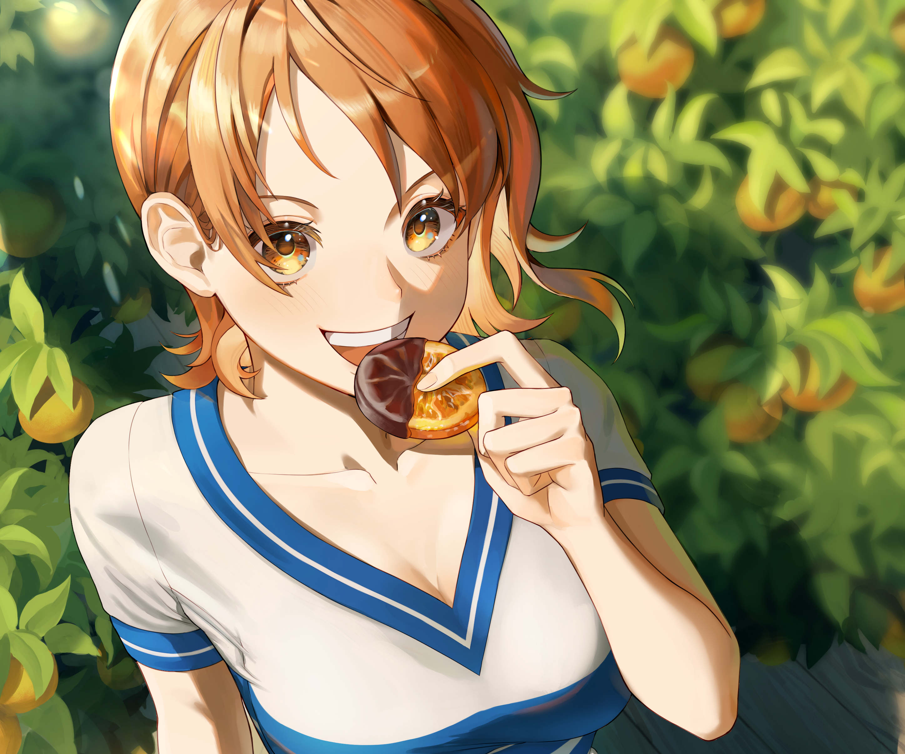 Anime One Piece HD Wallpaper