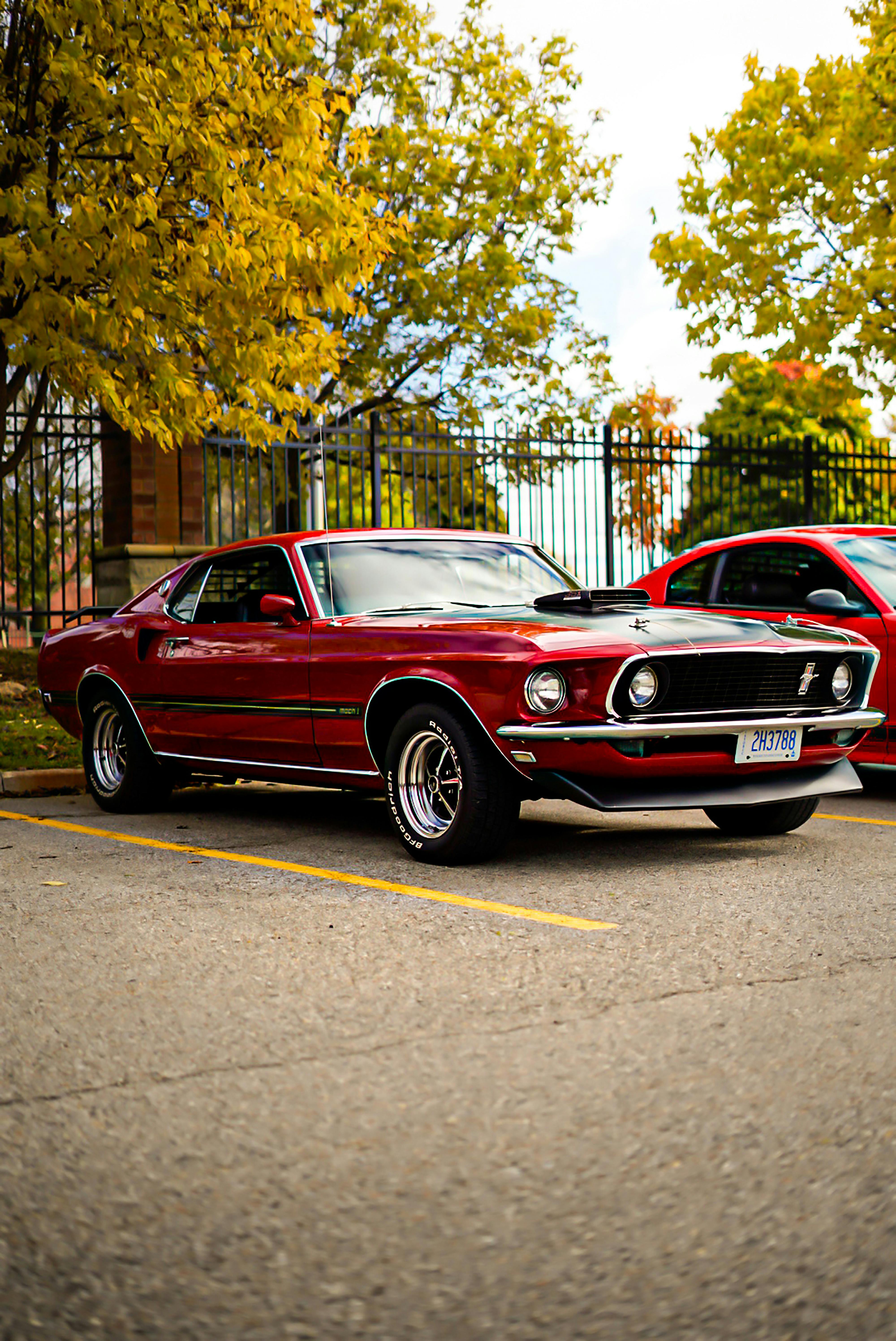 Red, Vintage Ford Mustang · Free Stock