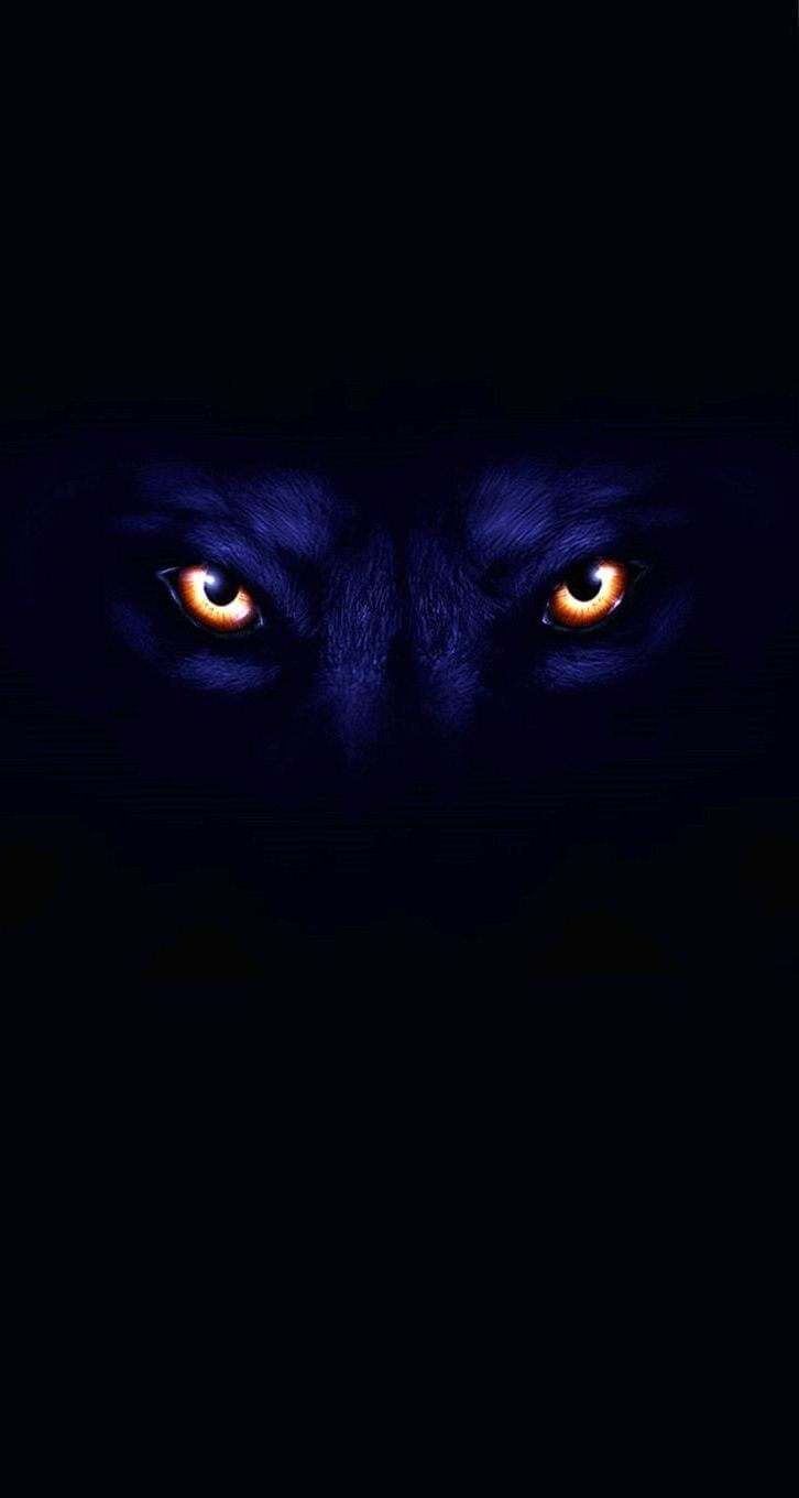 Dark Wolf Wallpaper iPhone free download
