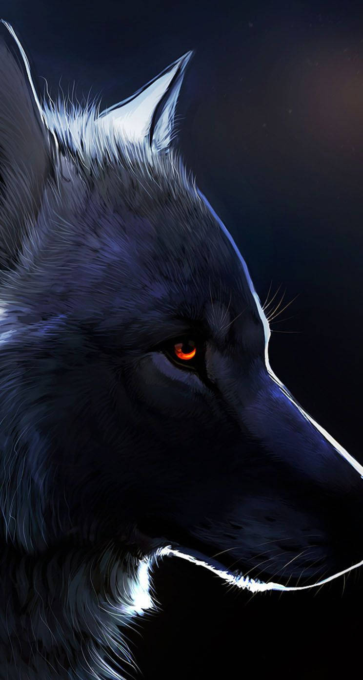 Black Wolf HD Wallpaper
