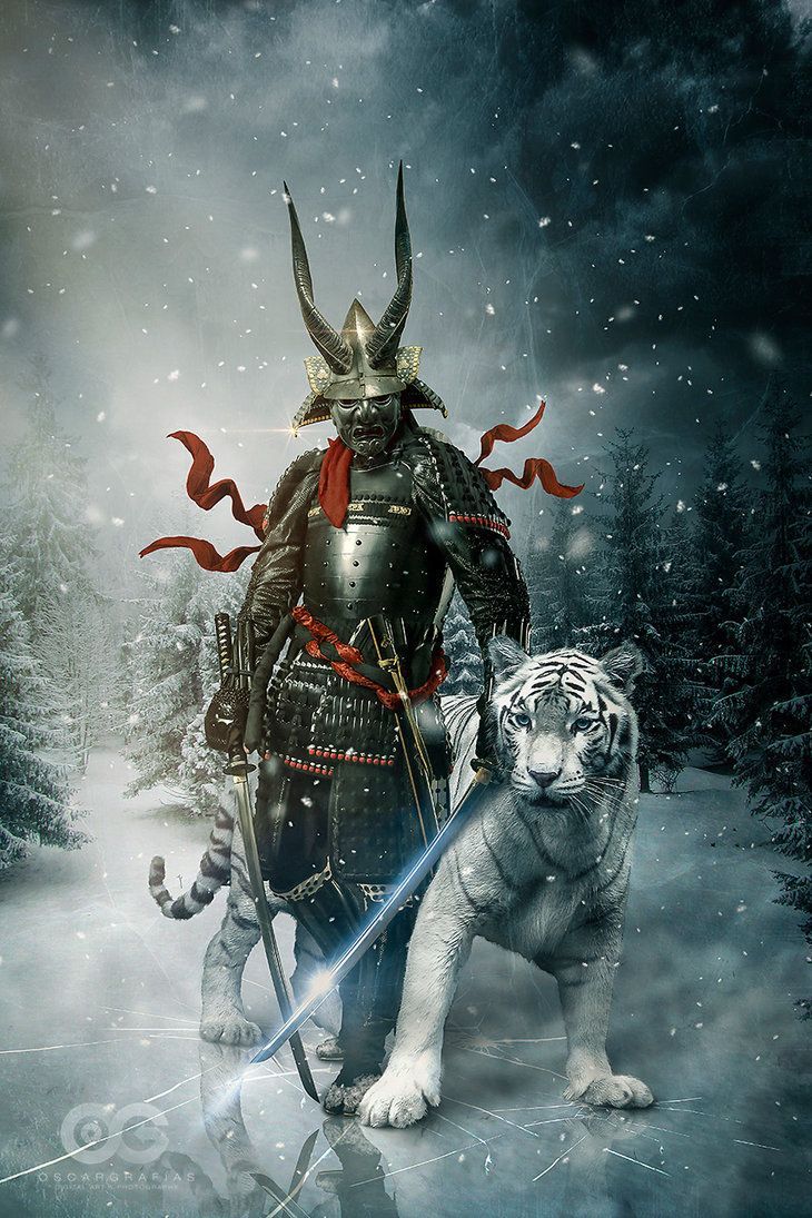 Awesome Ronin Samurai Wallpaper