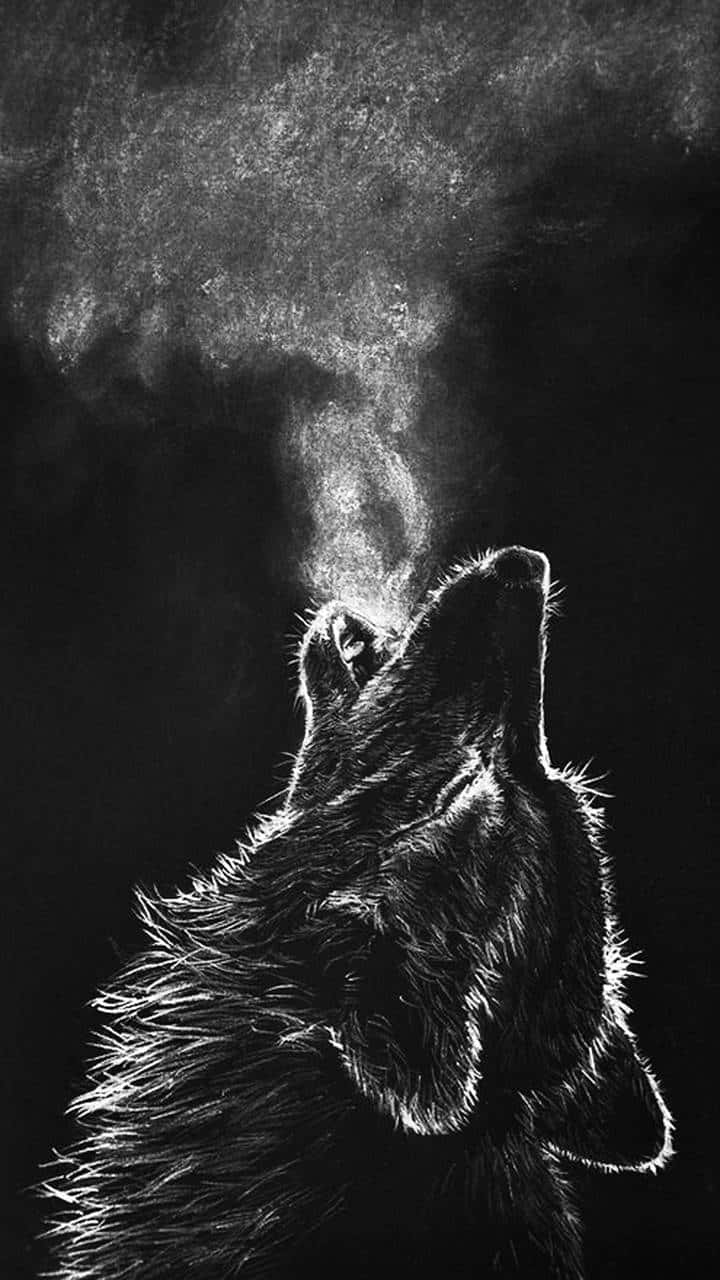 black wolf staring into the night sky