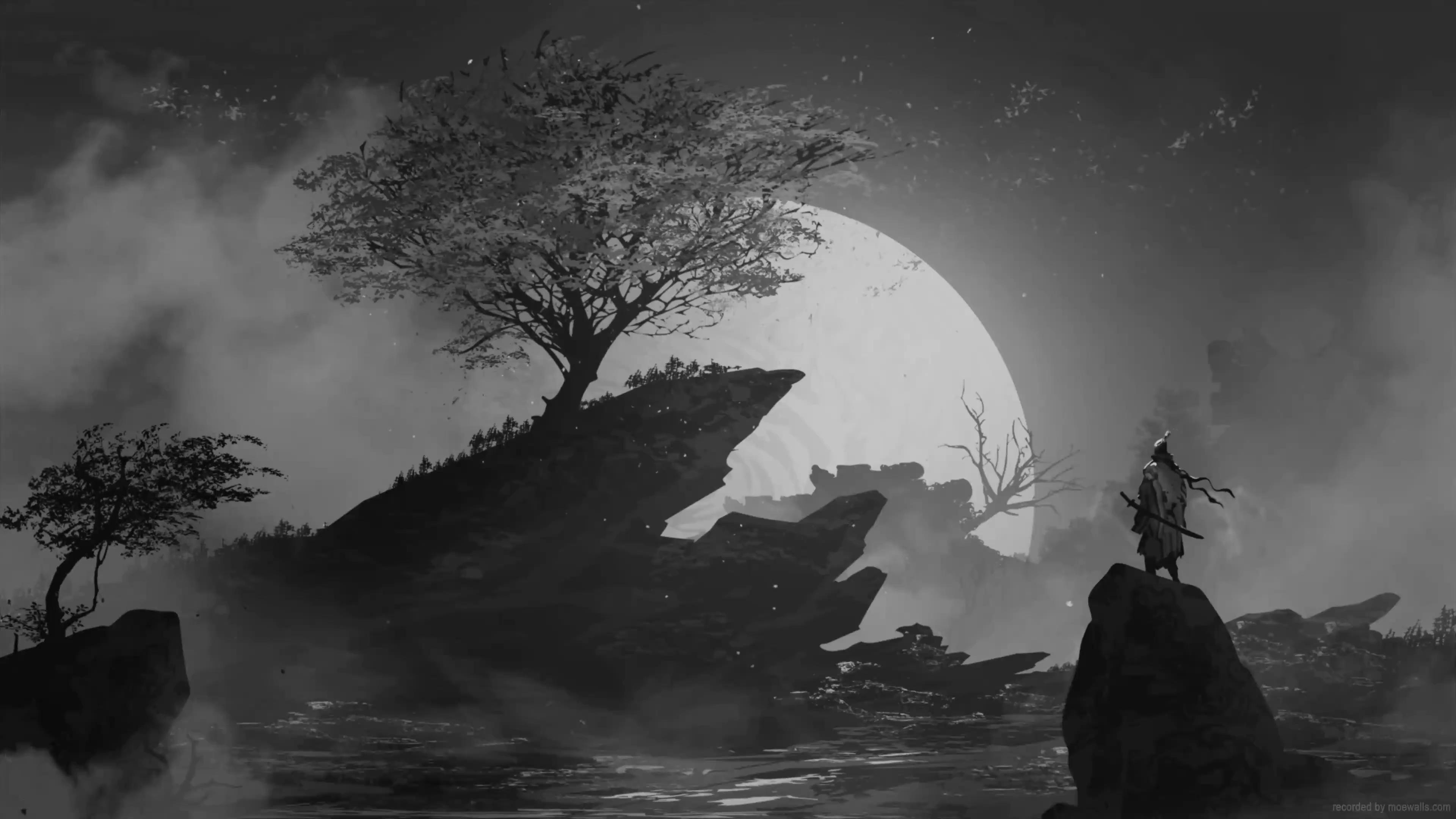 Samurai Live Wallpaper 4K & HD