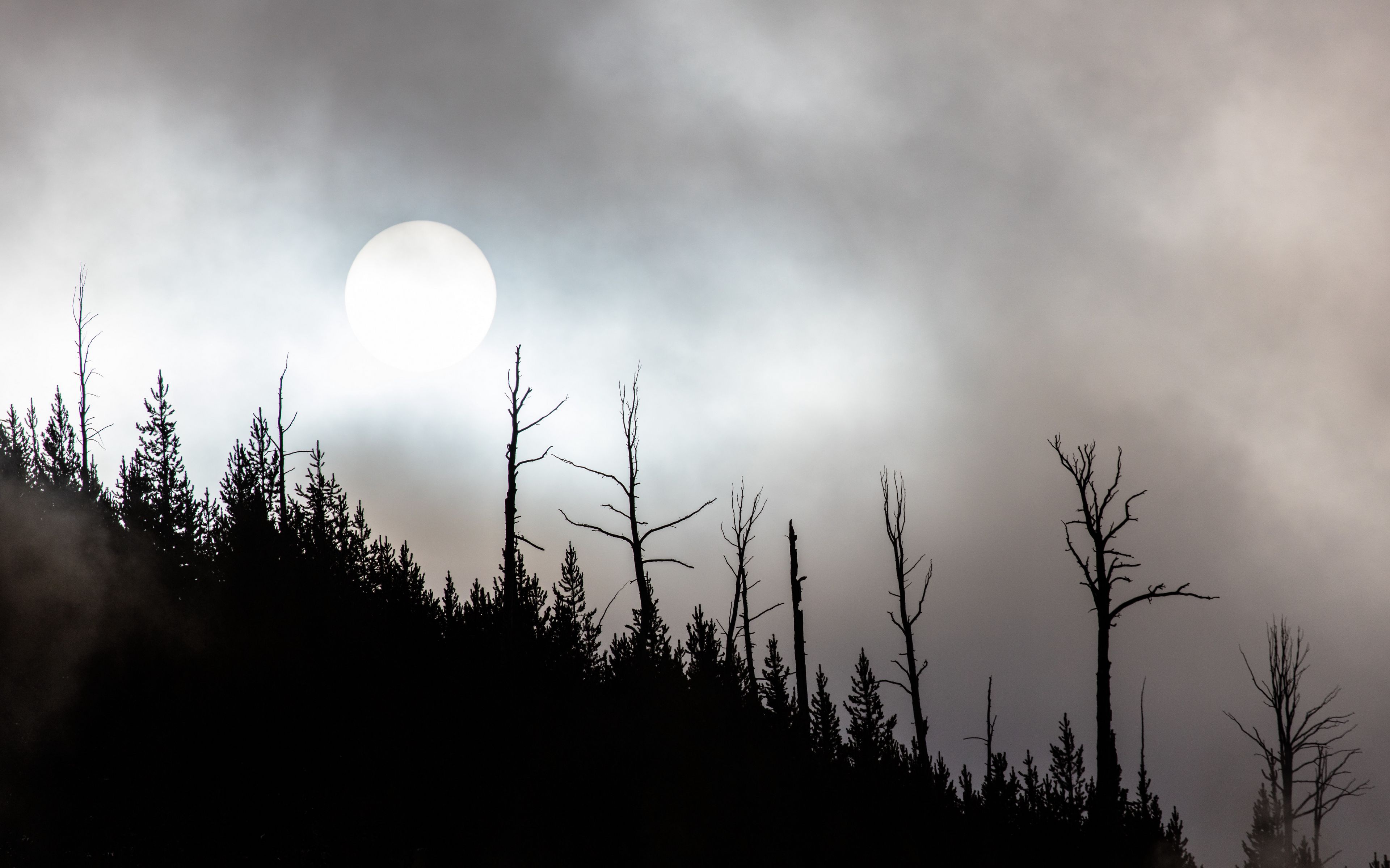 Twilight Moon 4k Ultra HD Wallpaper