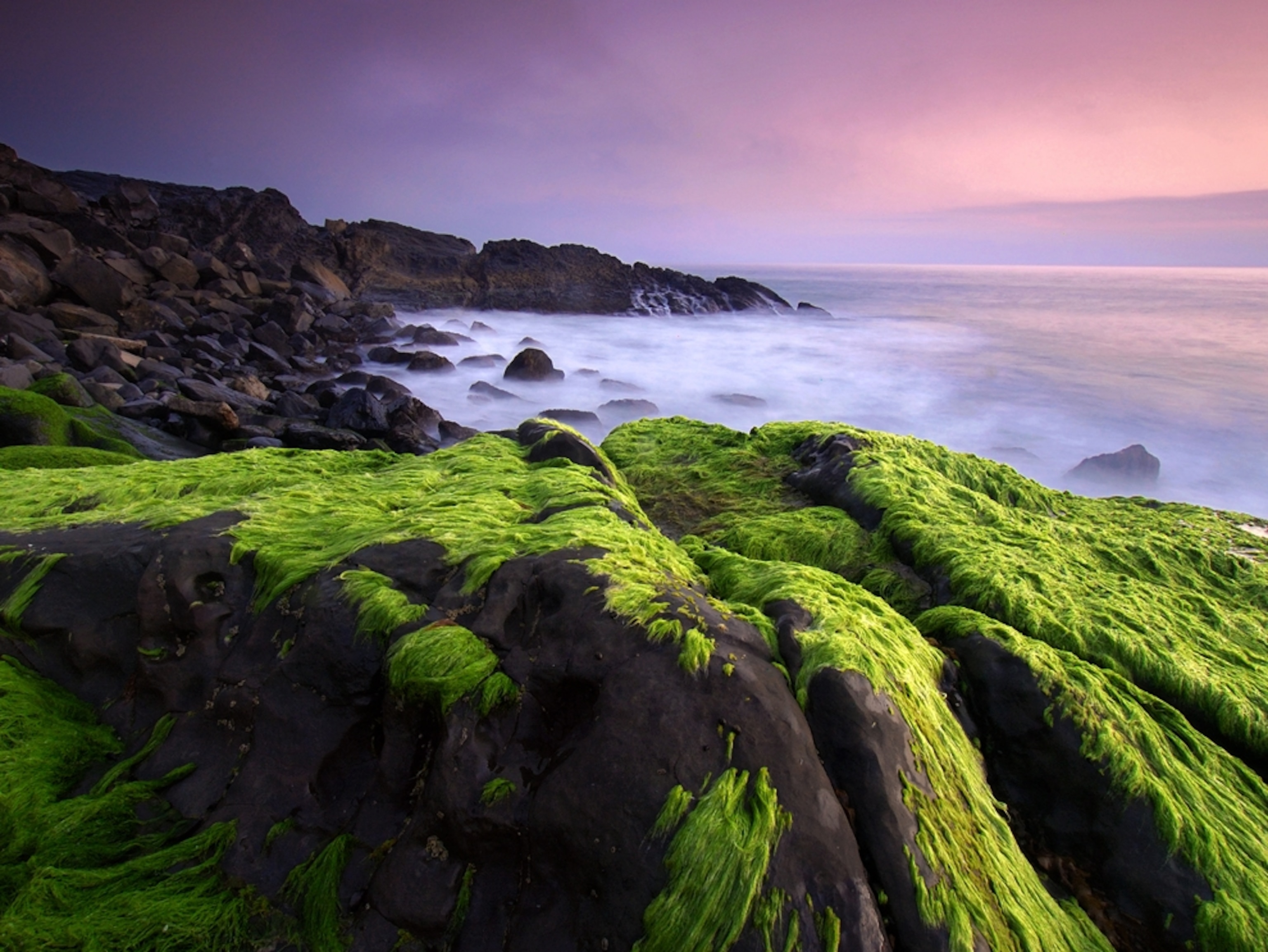 Photo of the Day Photo of 2009