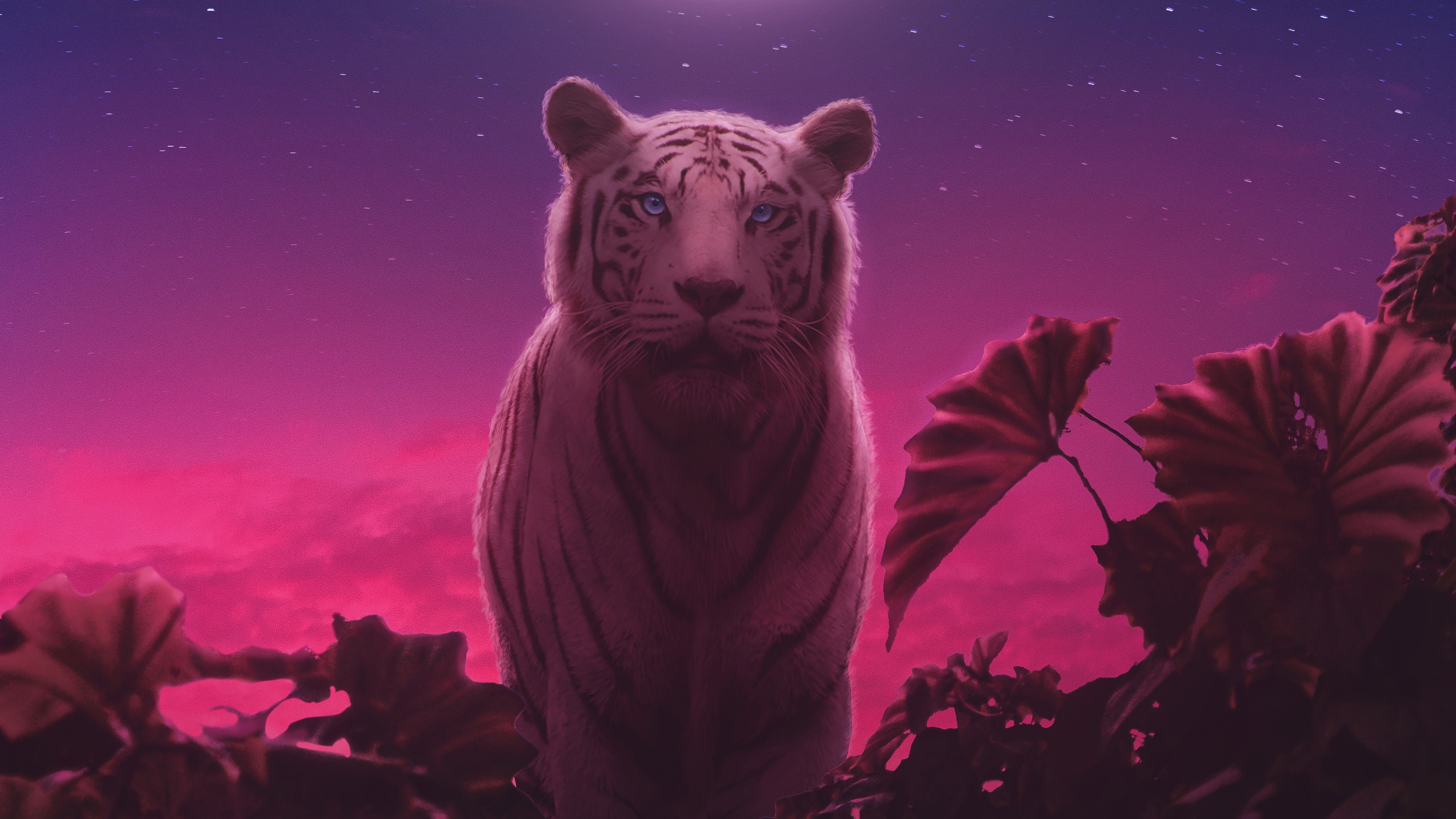 Download wallpaper 3840x2160 blue eye