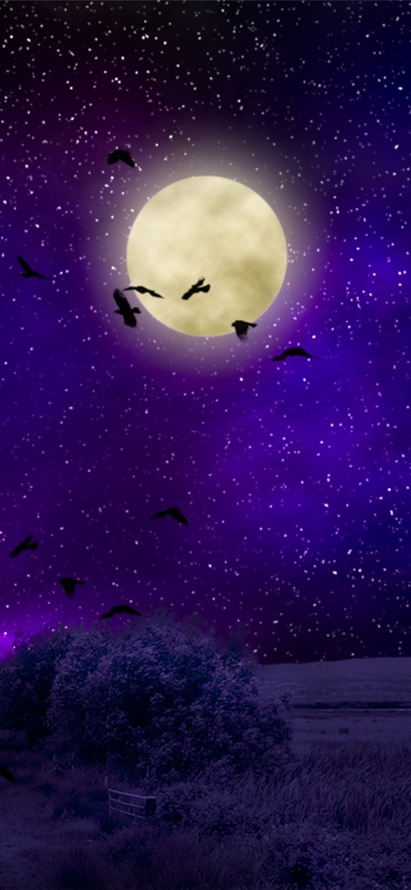 Sky Purple Full Moon Artistic Moon