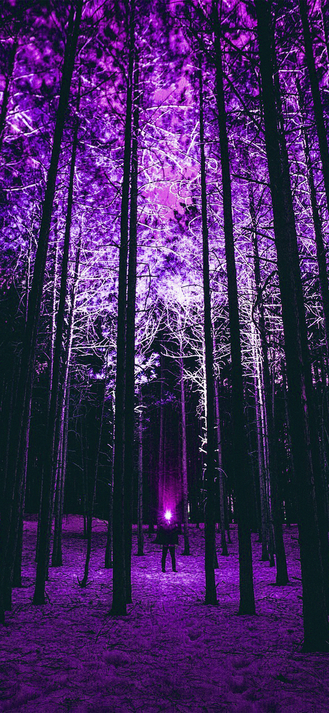 Wood Mountain Nature Purple Night