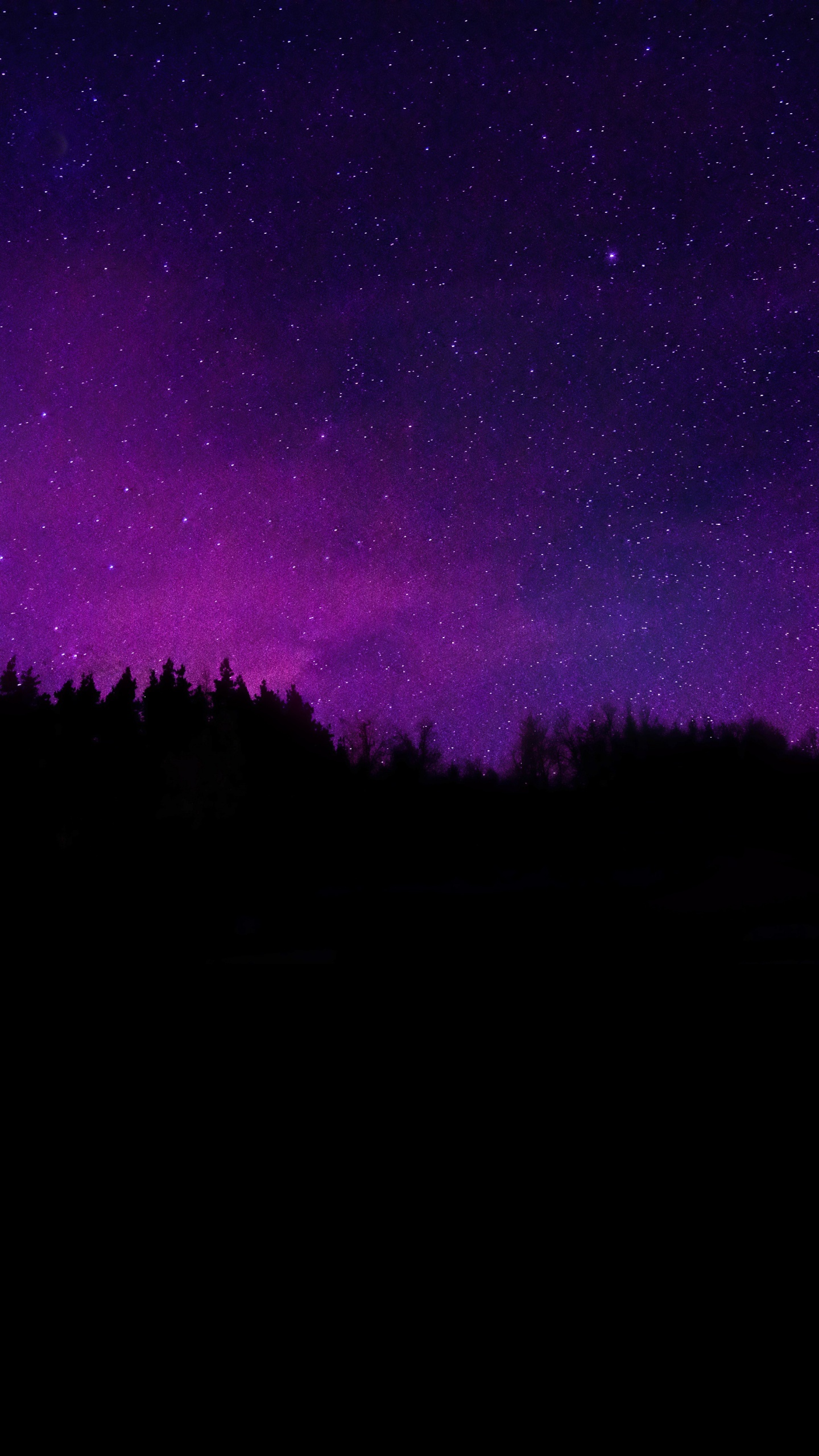 Trees Wallpaper 4K, Silhouette, Purple sky