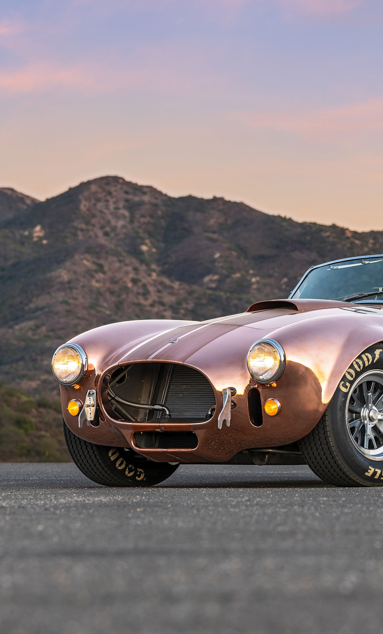 Shelby Cobra 427 Car
