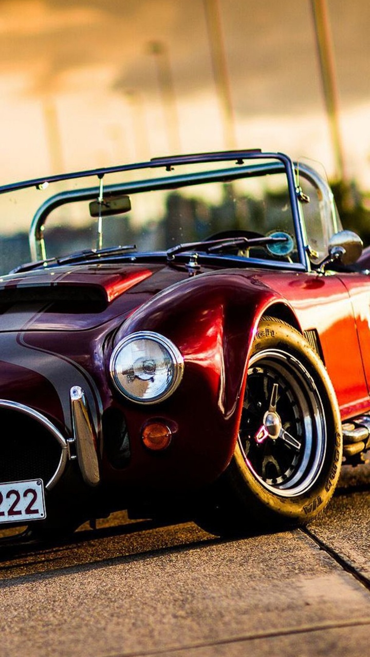 Ford Shelby Cobra Concept