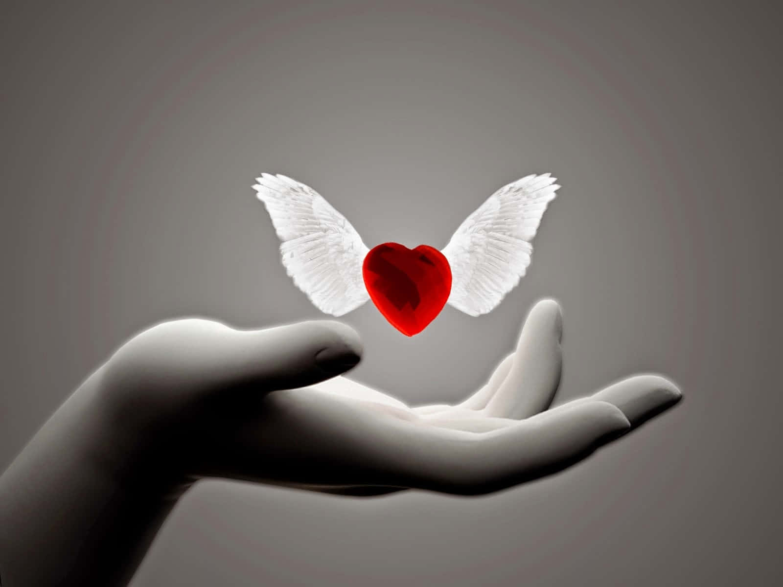 Hand Holding A Red Heart With Wings