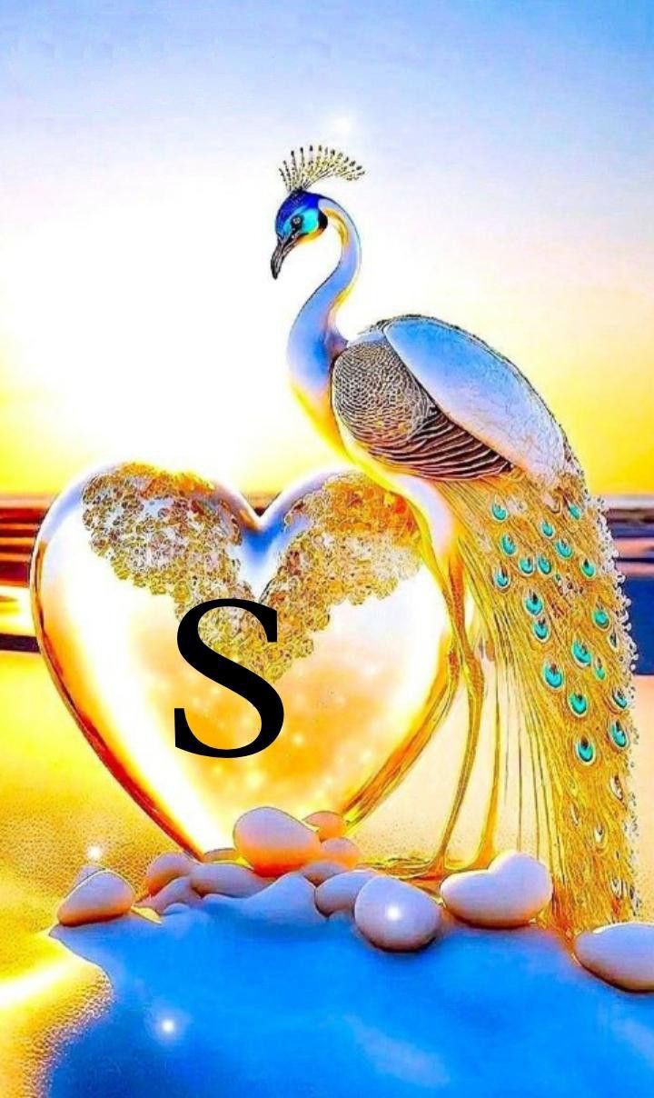 S Name DP Photo Image & Profile