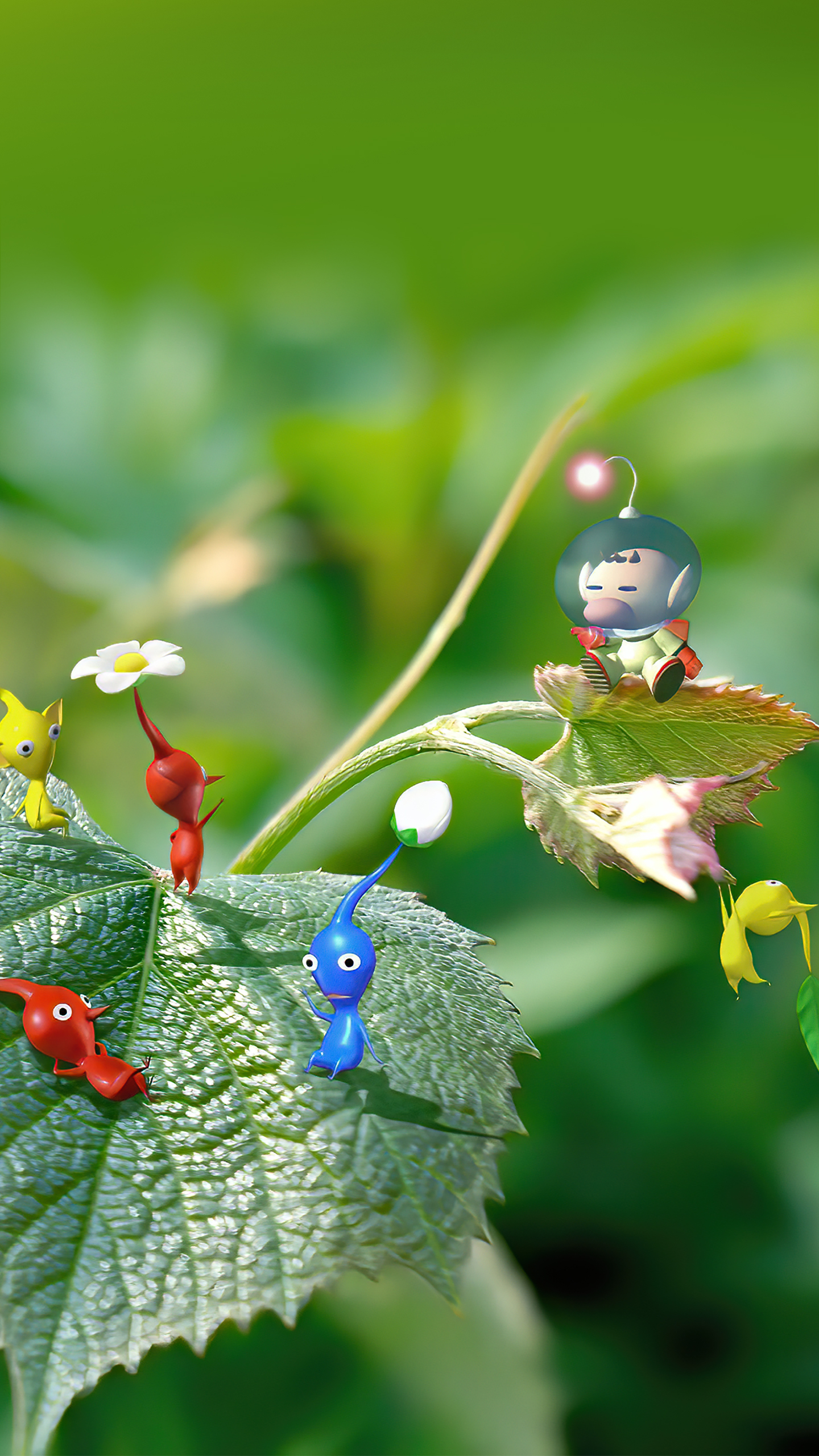Pikmin 1 Artwork Version 4 Wallpaper