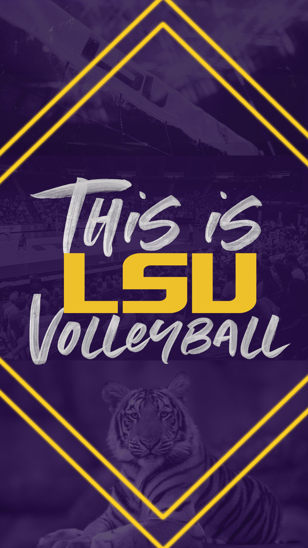 LSU Volleyball wallpaper
