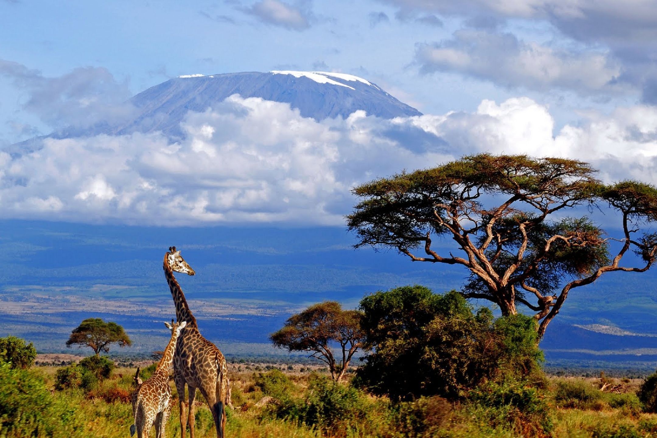 Mount Kilimanjaro Wallpaper