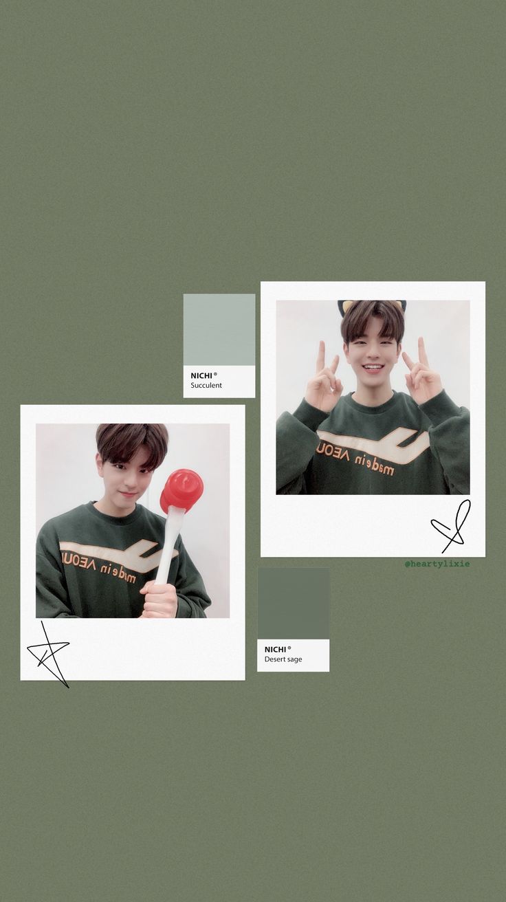 stray kids skz kim seungmin aesthetic