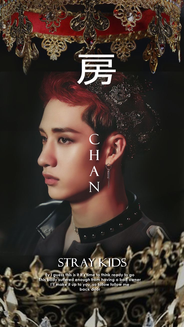 Stray Kids IN生 ; Bangchan ! Back Door