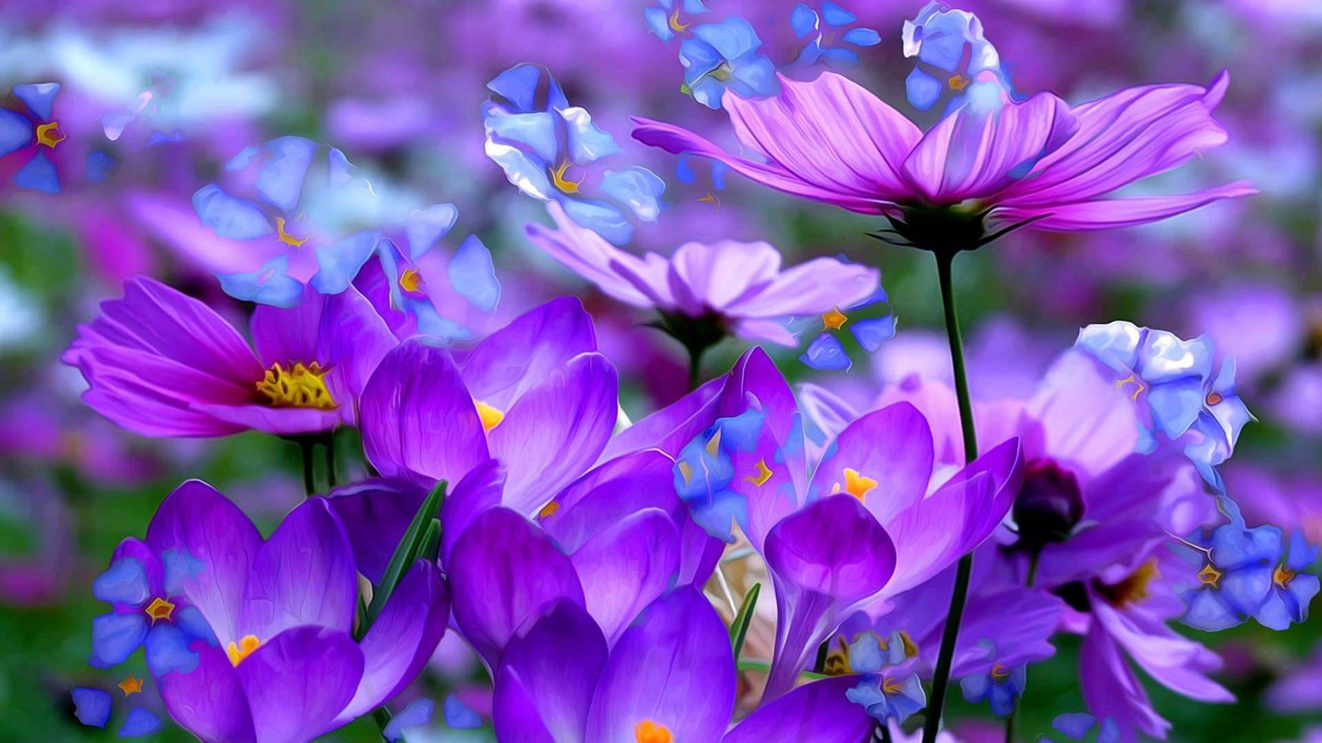 Purple Flowers Wallpaper