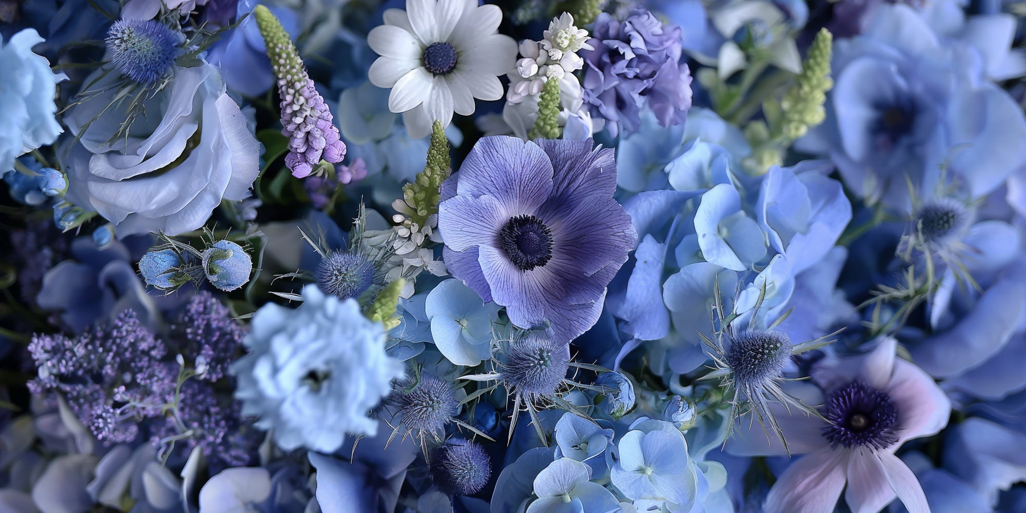 Beautiful Blue Flowers You Need To