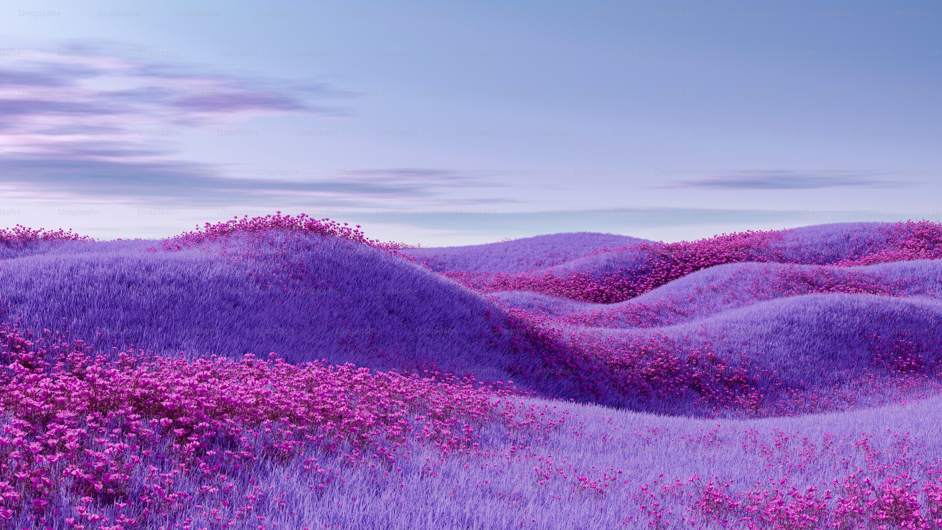 Purple Flower Background Picture