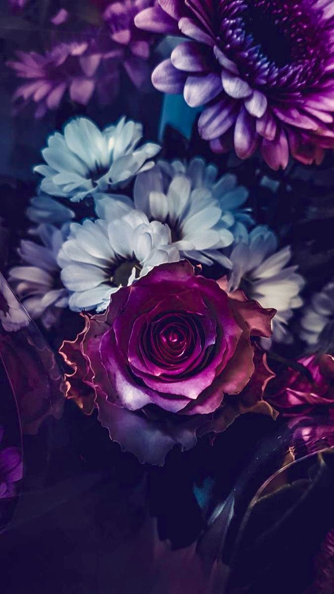 Blue And Purple Flowers Wallpapers - Wallpaper Cave, image size:675x1200