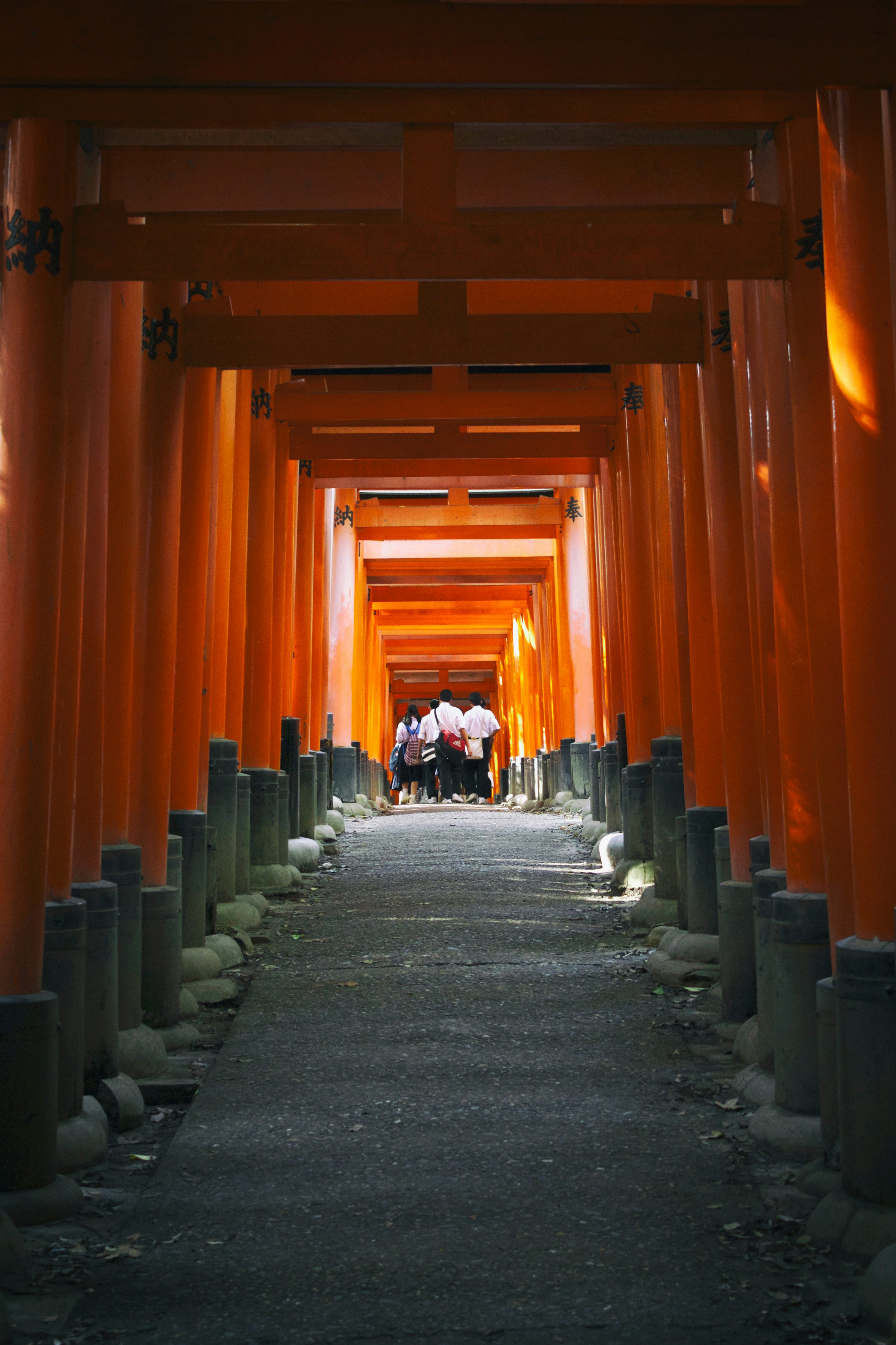Torii Picture. Download Free Image