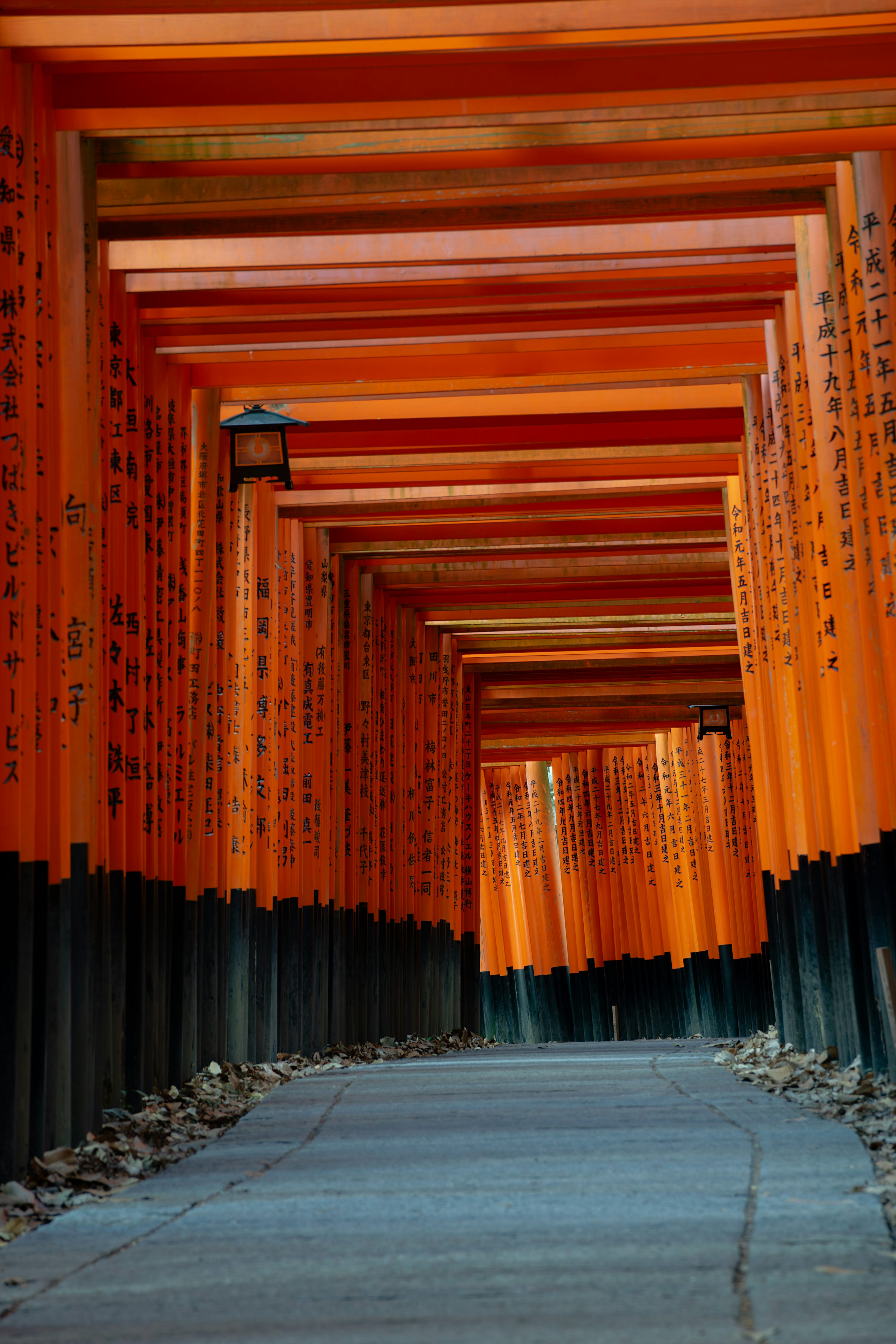 Torii Picture. Download Free Image
