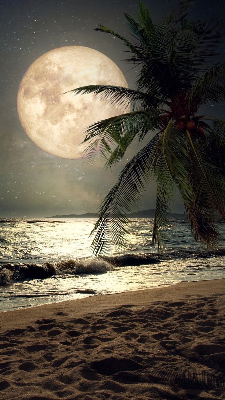 Lovely beach night wallpaper. Moon photography, HD nature wallpaper, Beautiful moon