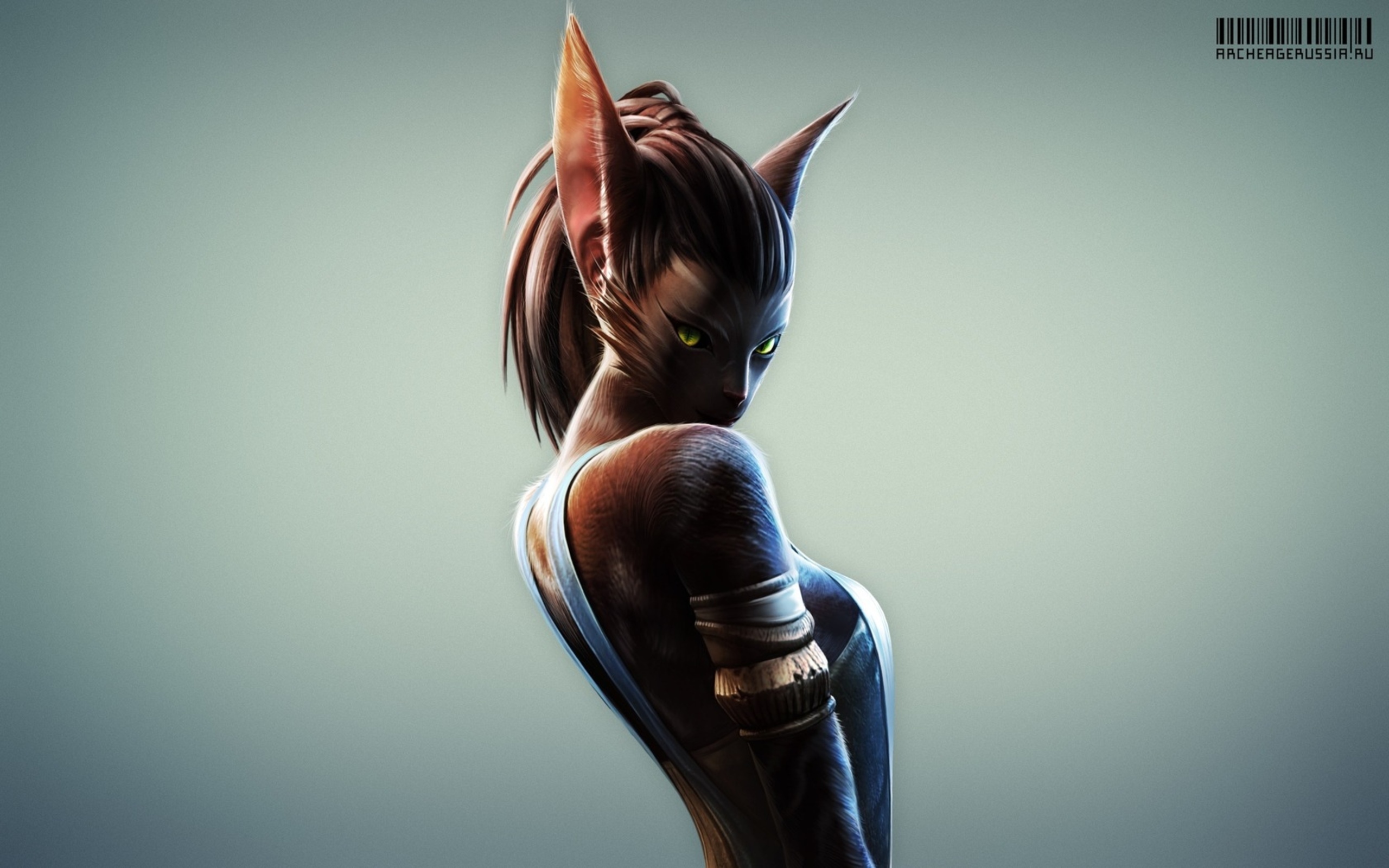 Download Video Game ArcheAge HD Wallpaper