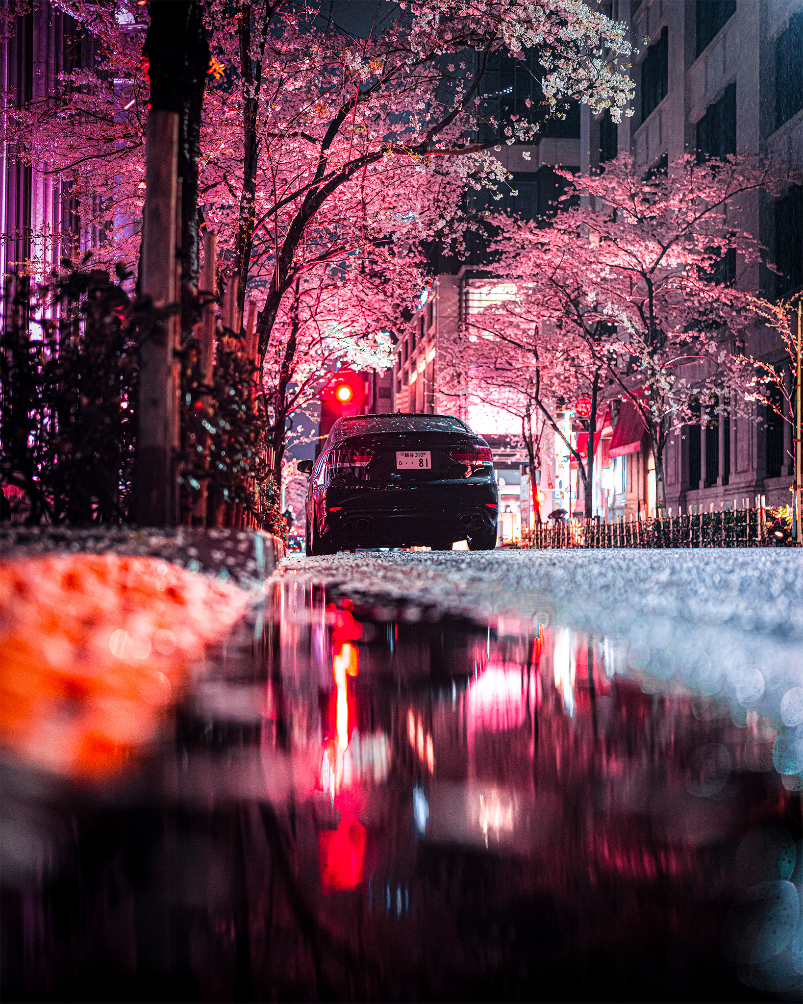 Rainy Tokyo: Photo