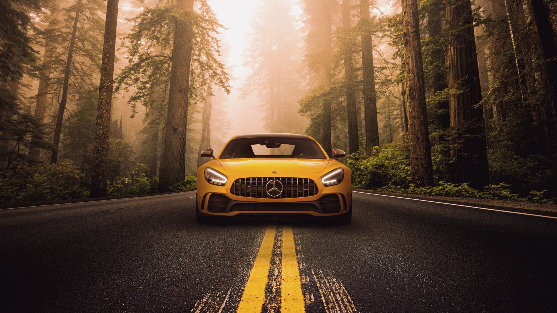 Mercedes Benz AMG GT R 5K Wallpaper