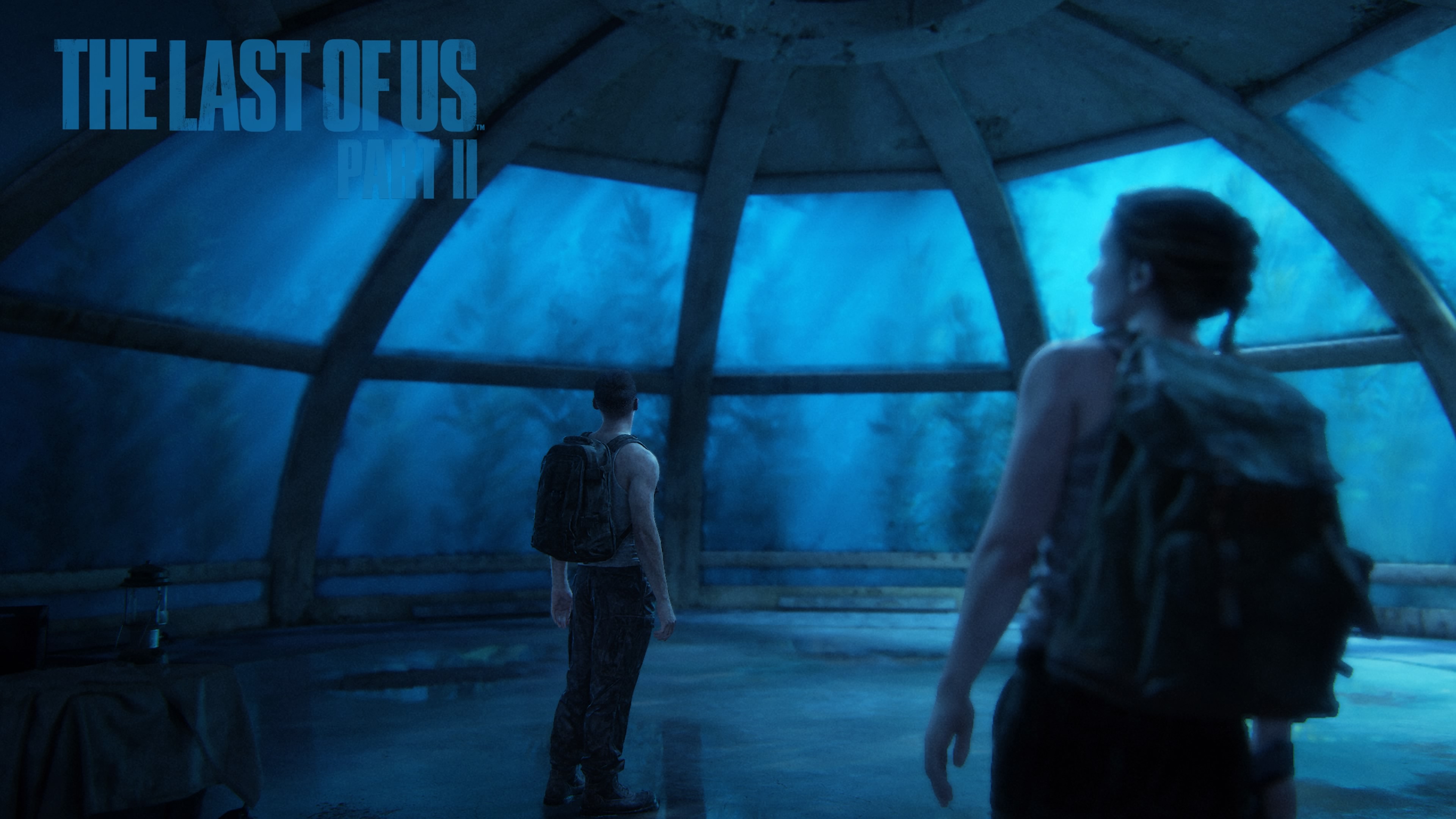 Abby Anderson Wallpaper