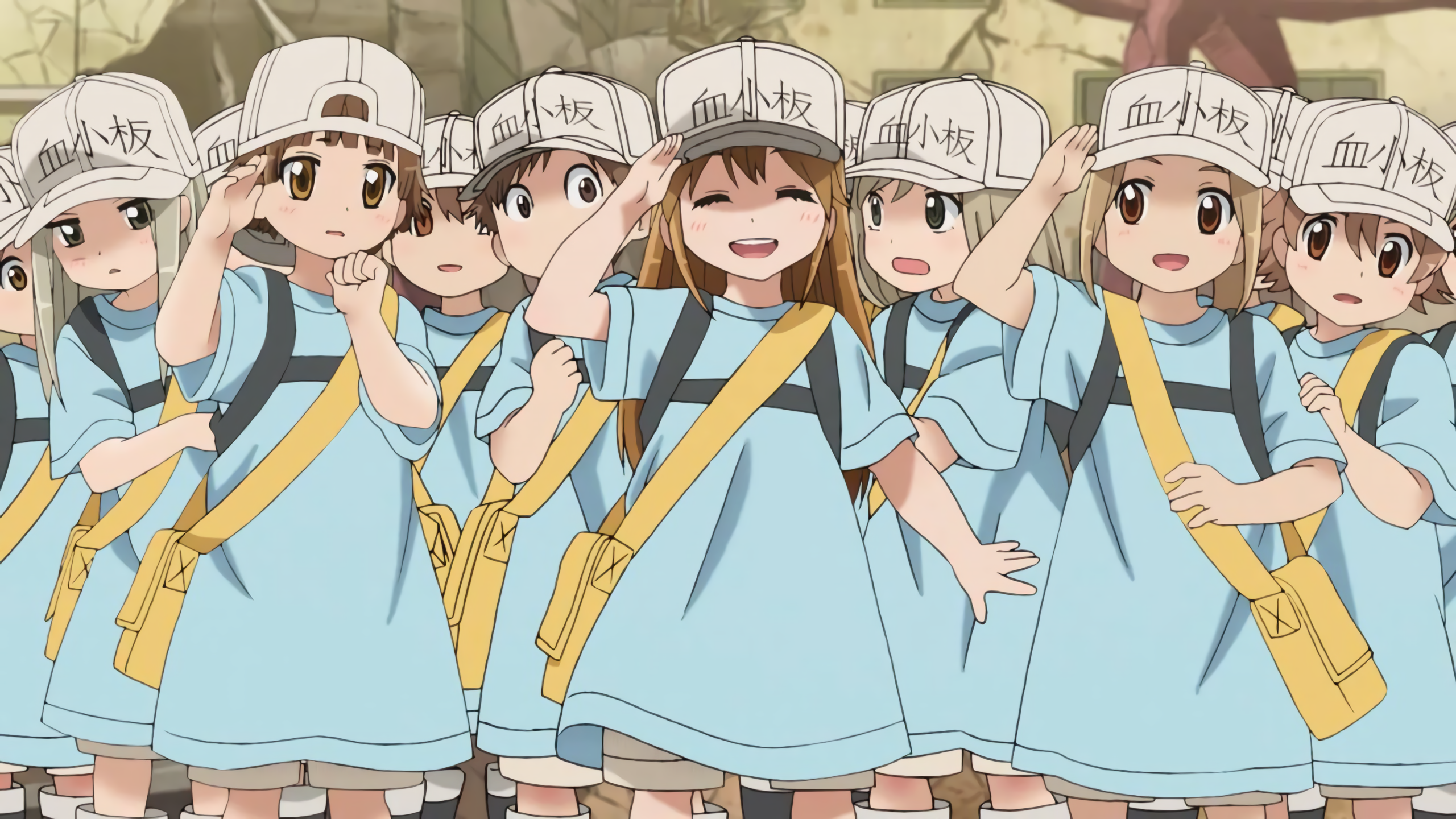 Cells at Work! Platelets HD Wallpaper