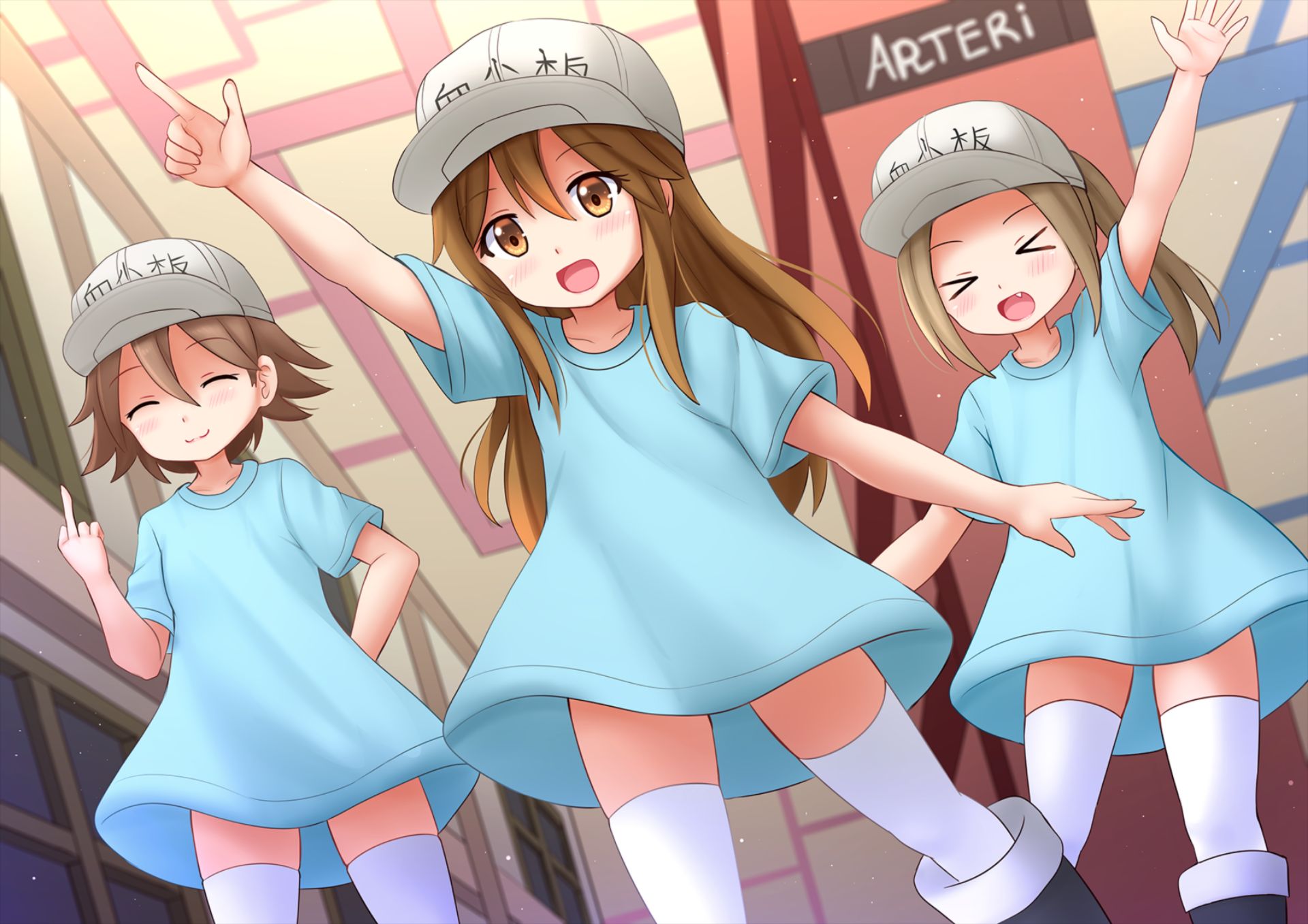 wallpaper: Anime, Platelet Cells