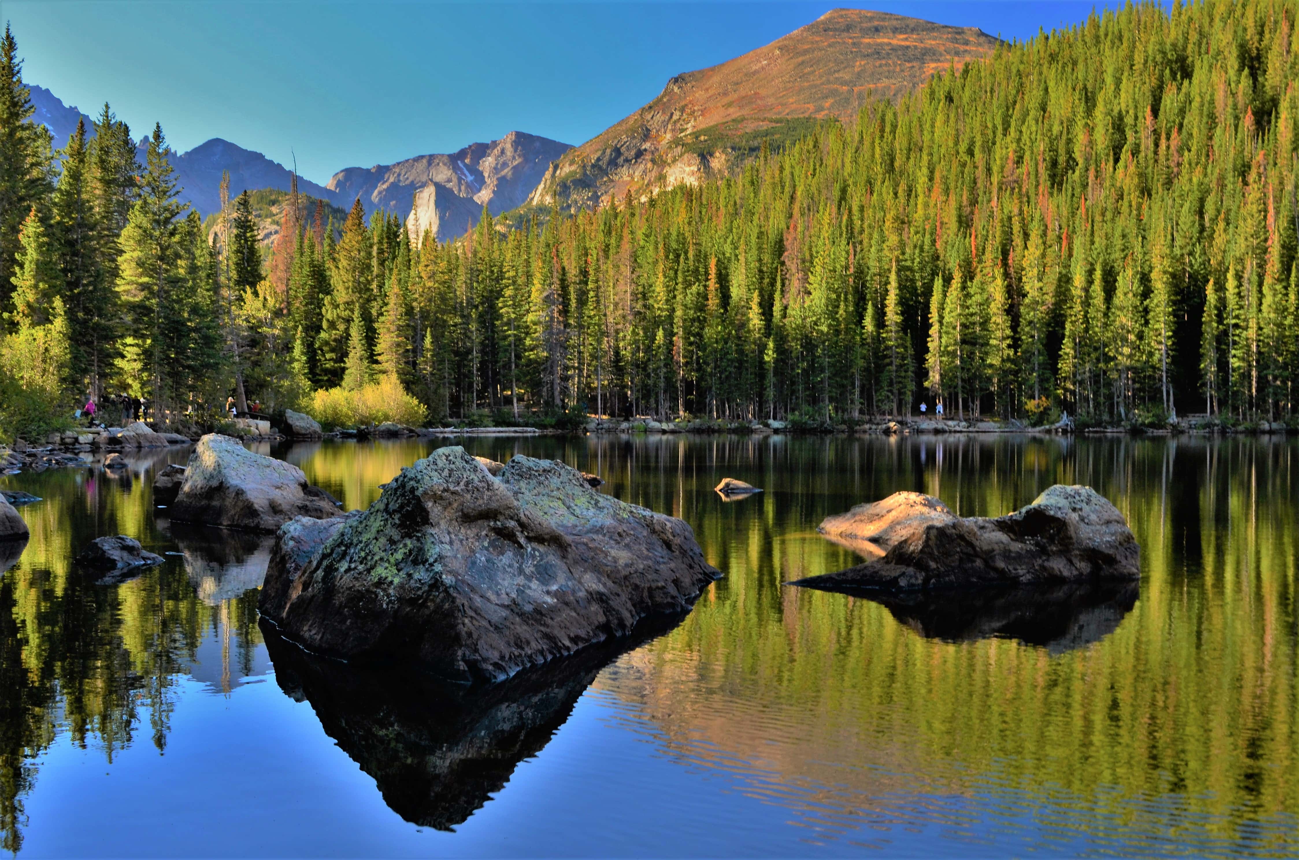Finding Aspen Gold in a Rocky Mountain