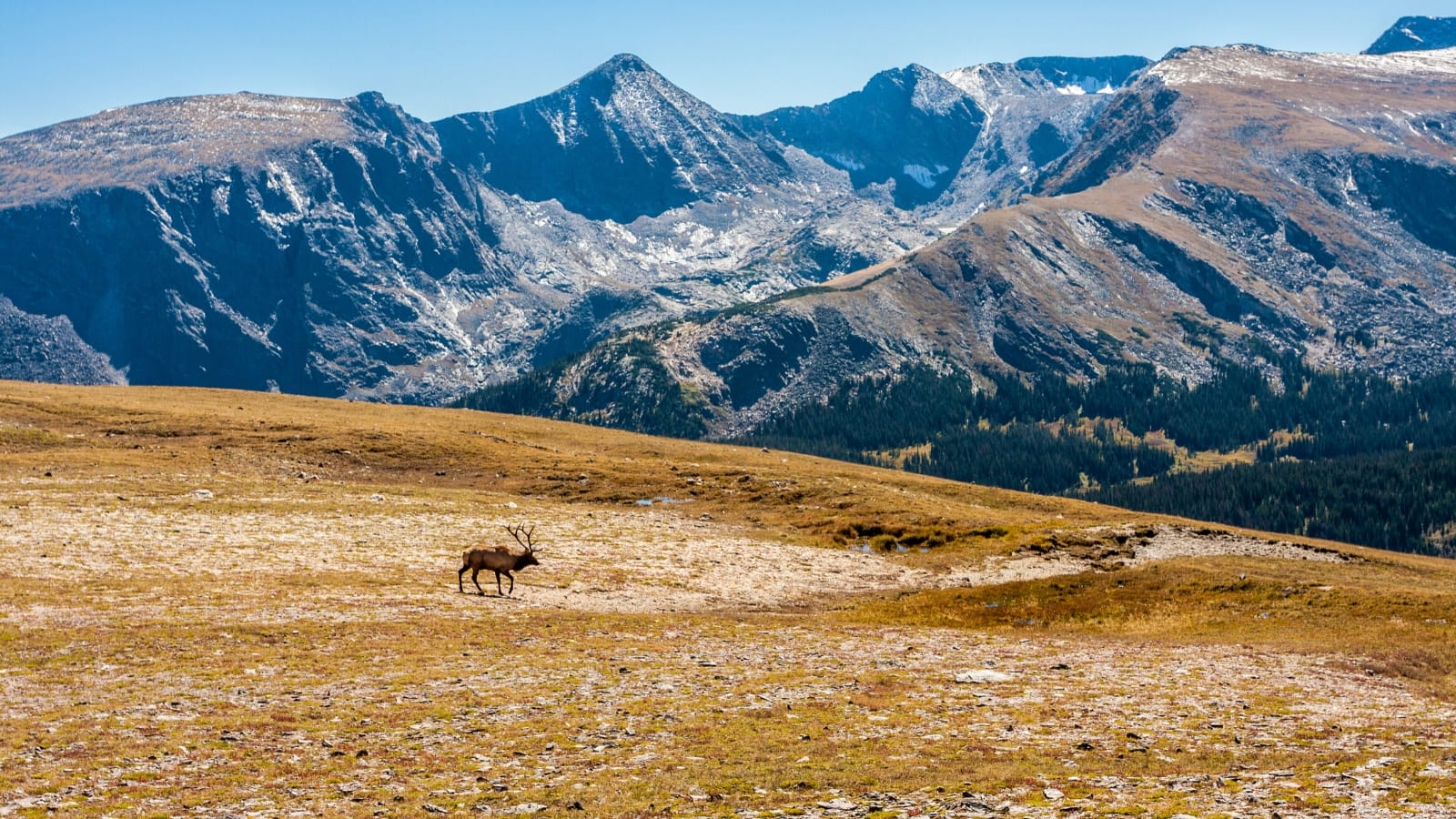 Rocky Mountain National Park Trip
