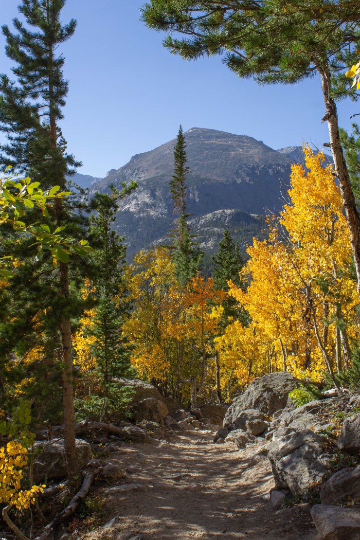 Trail at Rocky Mountain National Park