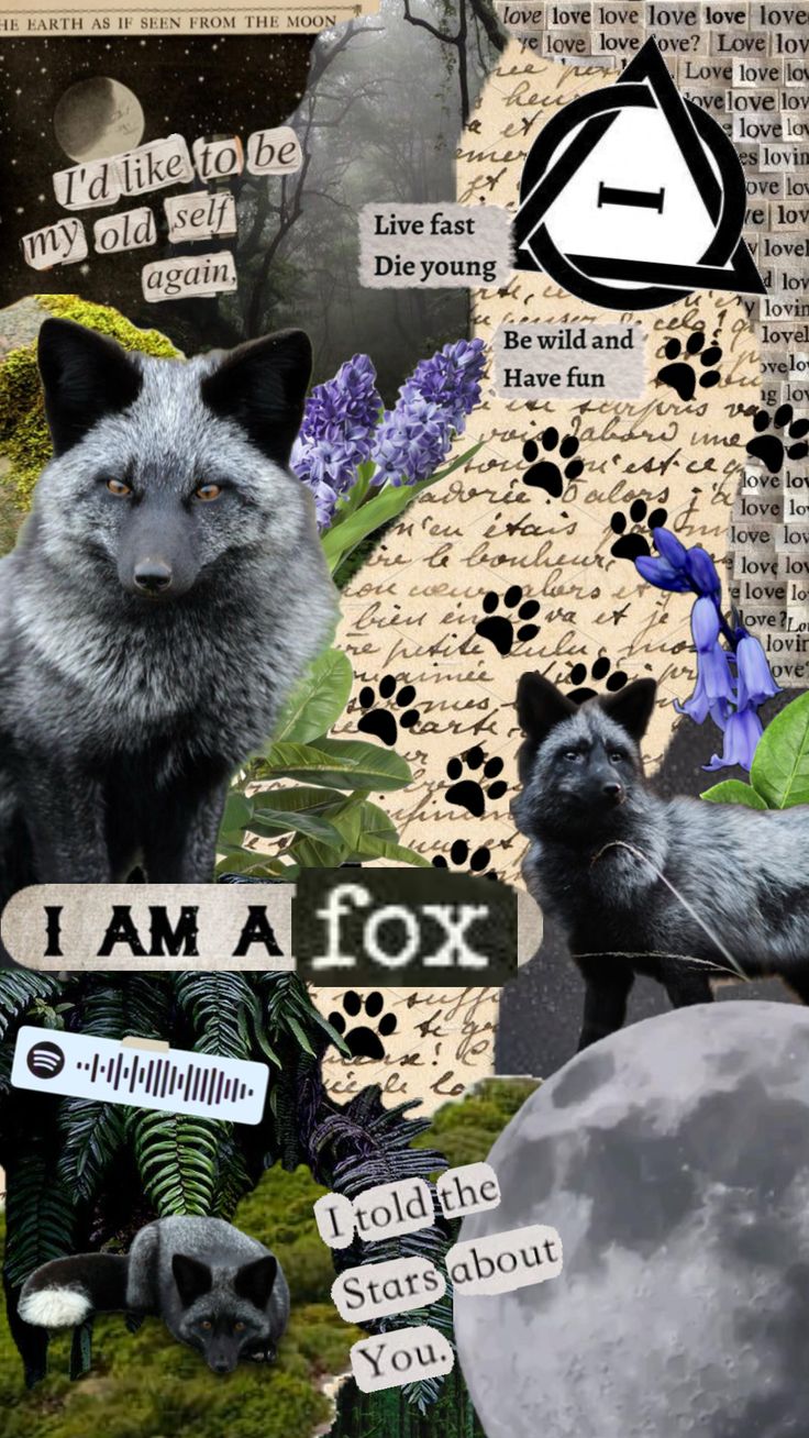 Therian fox wallpapers wallpaper cave