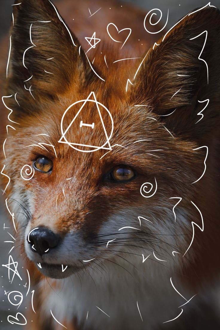 Therian Symbols Wallpapers Wallpaper Cave