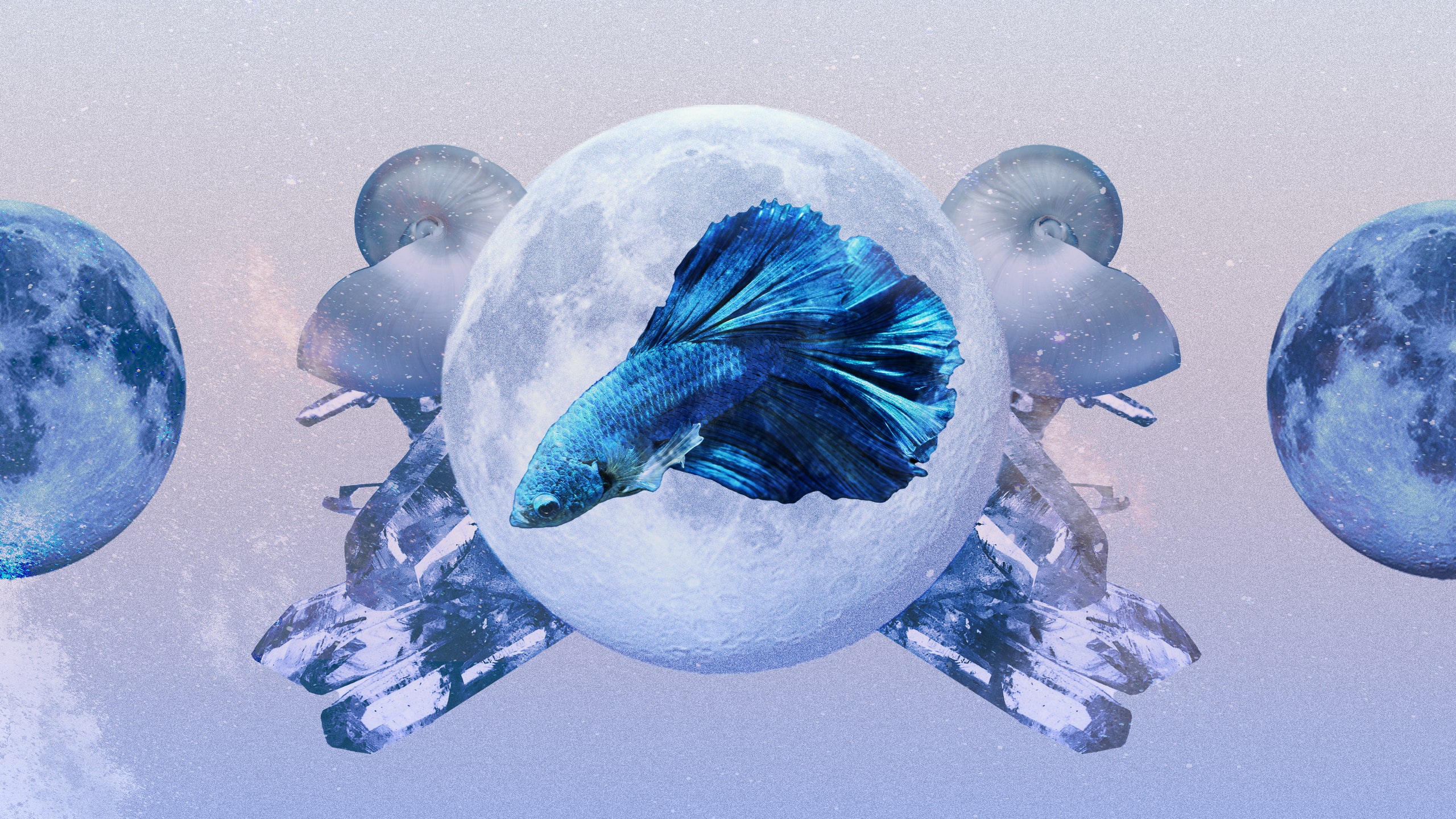 Pisces Horoscope April 2024: Read Your