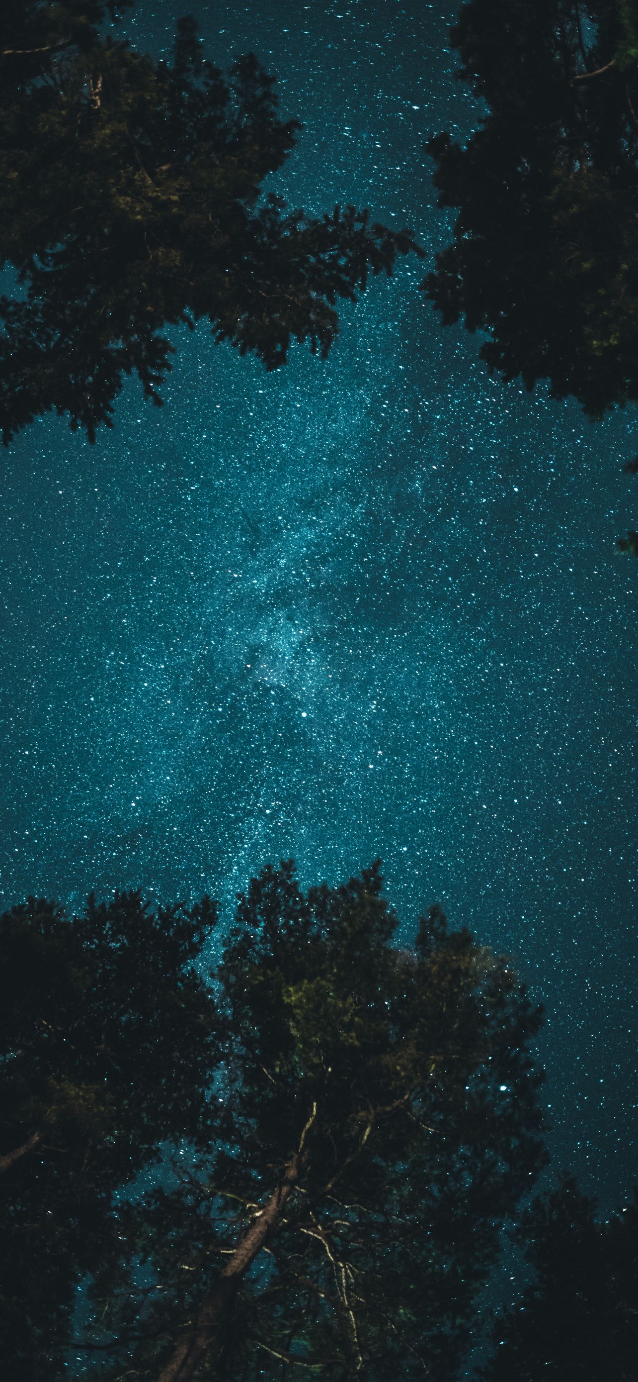 starry night iPhone 12 Wallpaper Free
