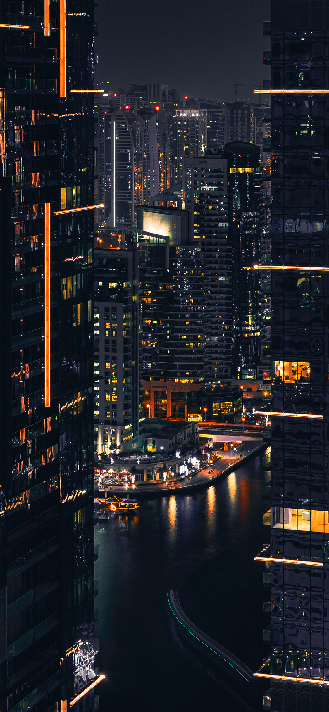 Nature City Night Building