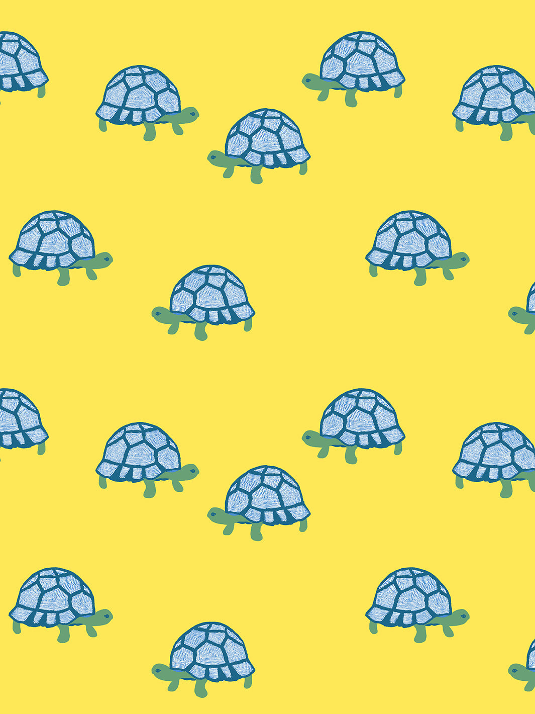 Tortoise' Wallpaper