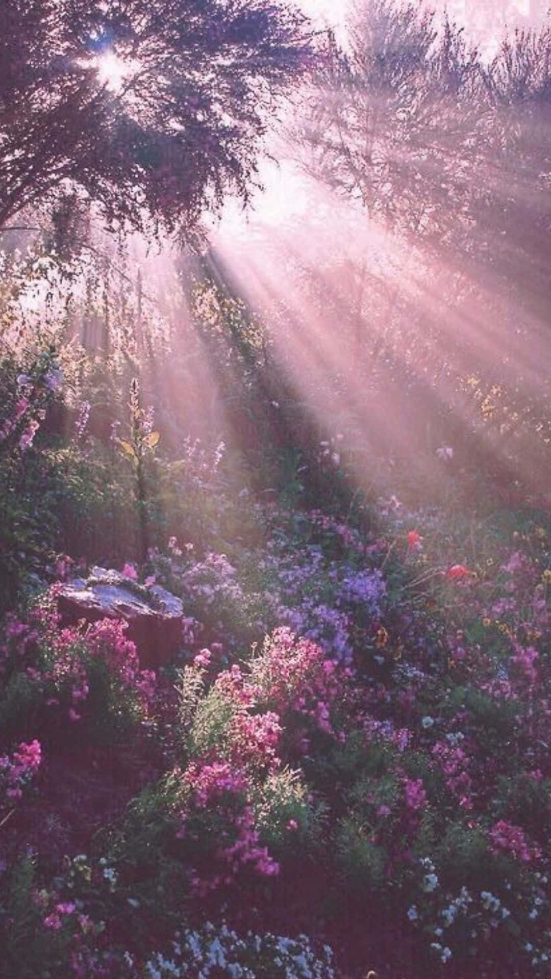 Download Forest Garden Portrait