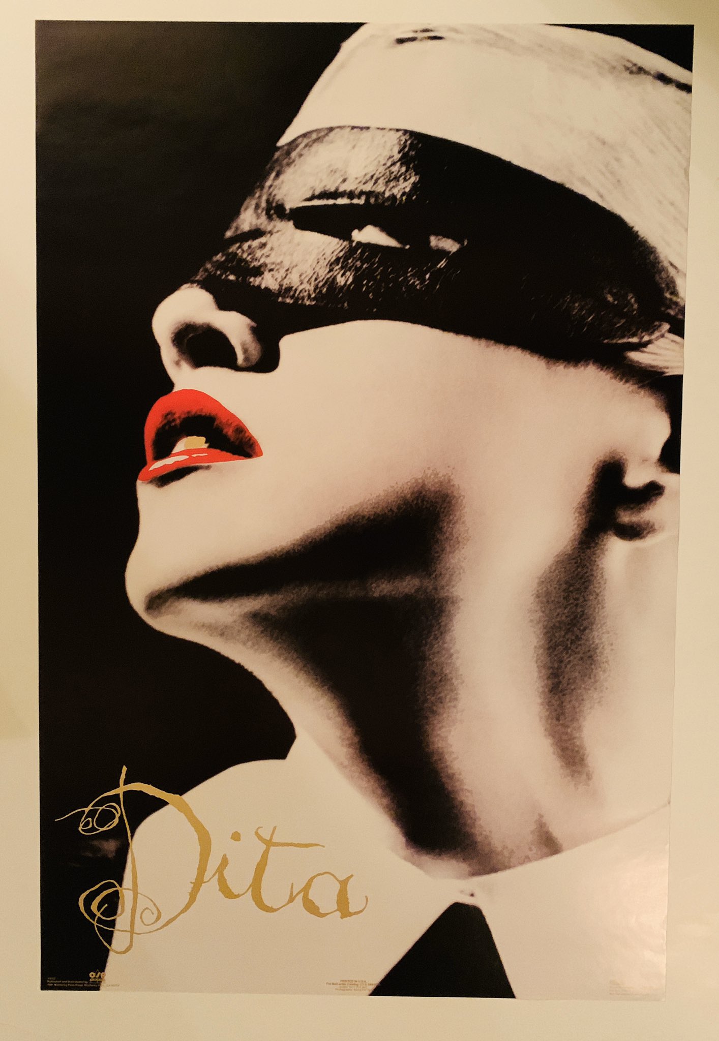 Madonna erotica Dita poster